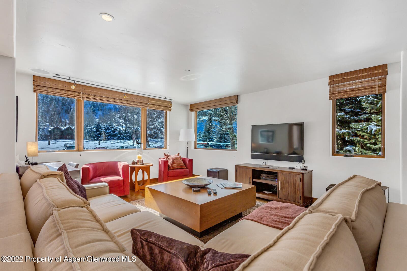104 W Cooper Avenue 3, Aspen, CO 81611 - Photo 4