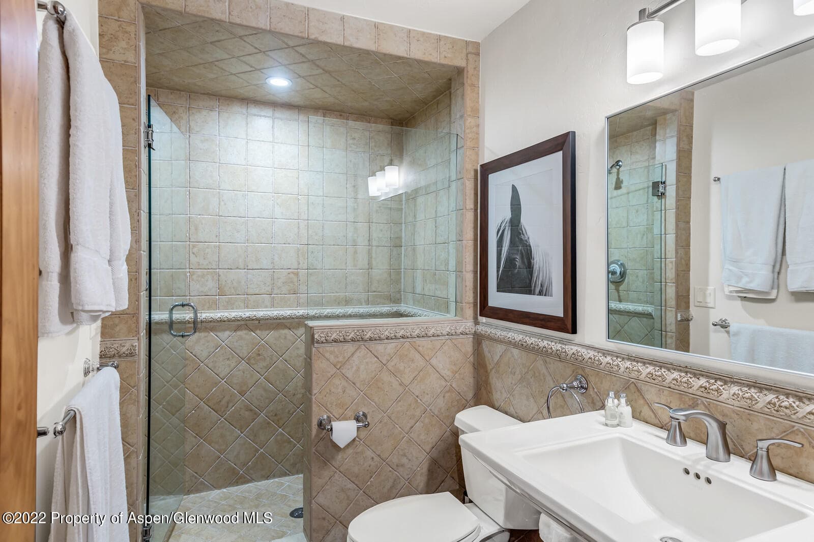 104 W Cooper Avenue 3, Aspen, CO 81611 - Photo 9
