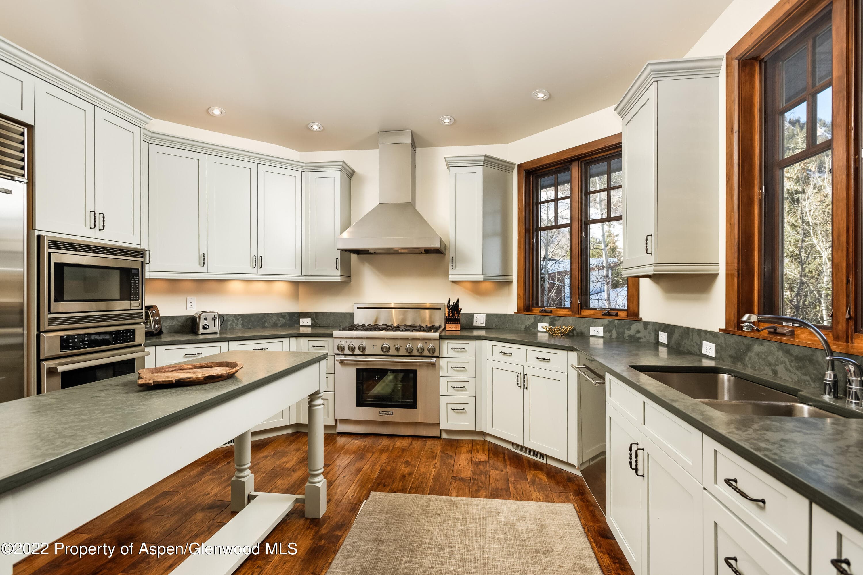 704 S Galena Street, Aspen, CO 81611 - Photo 6