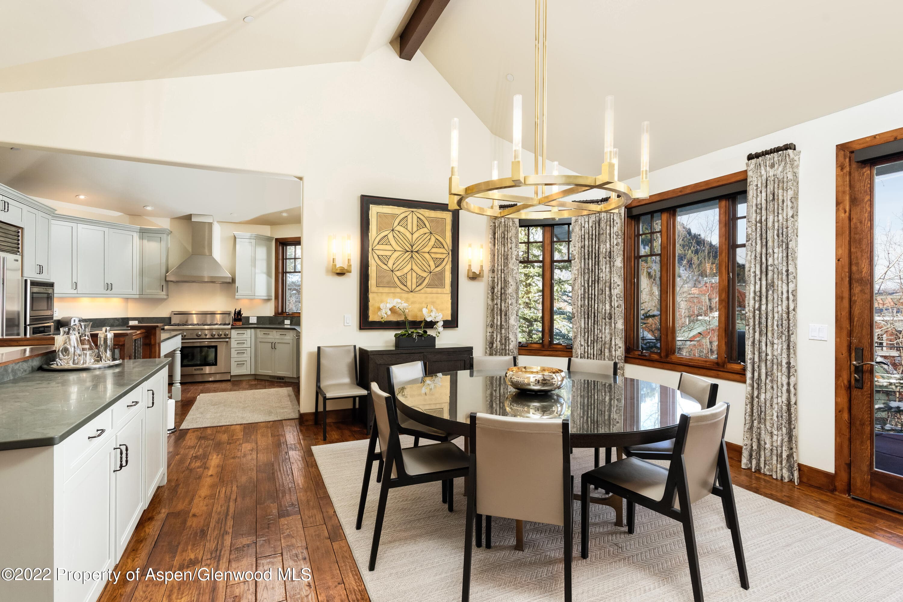 704 S Galena Street, Aspen, CO 81611 - Photo 5