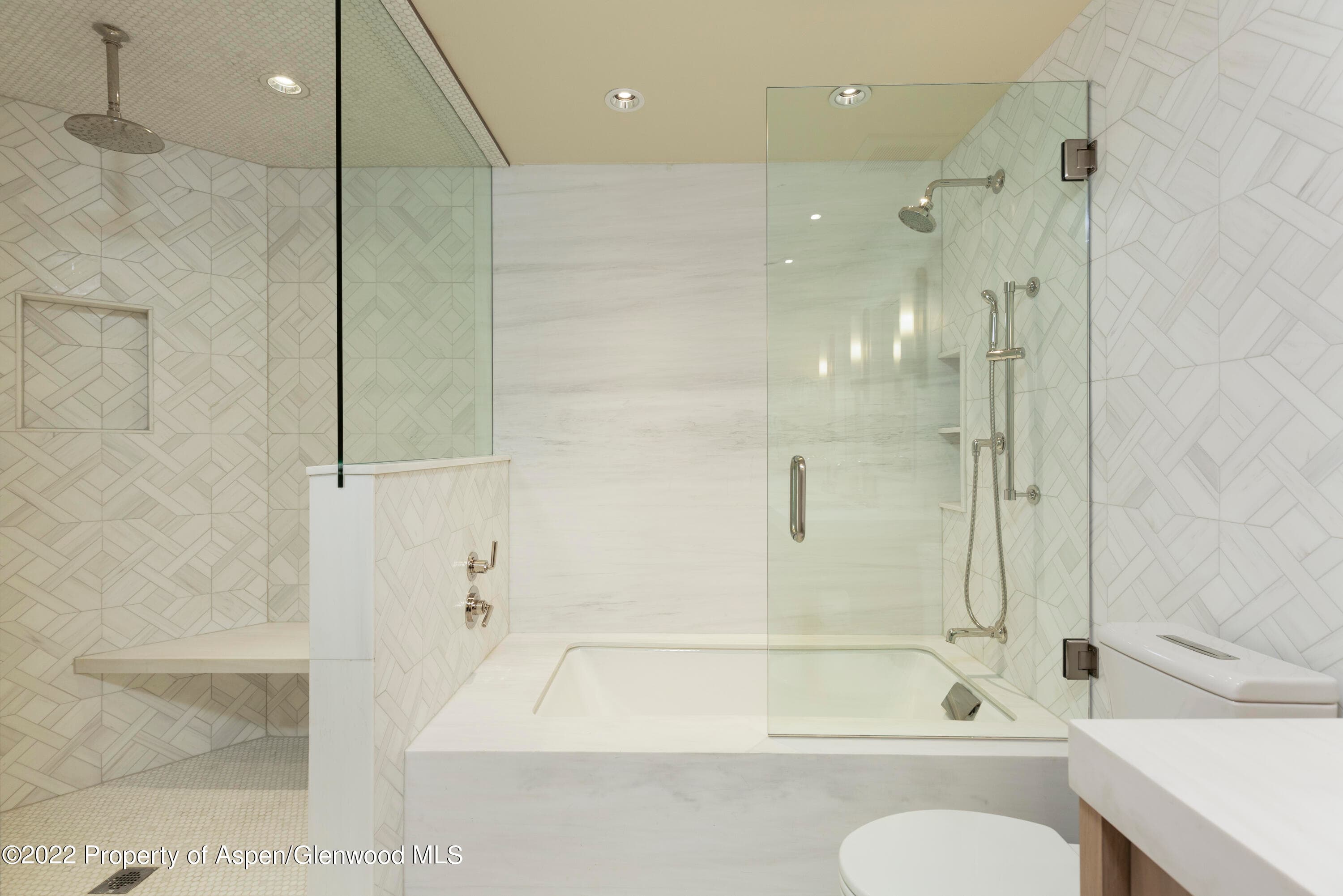 704 S Galena Street, Aspen, CO 81611 - Photo 10