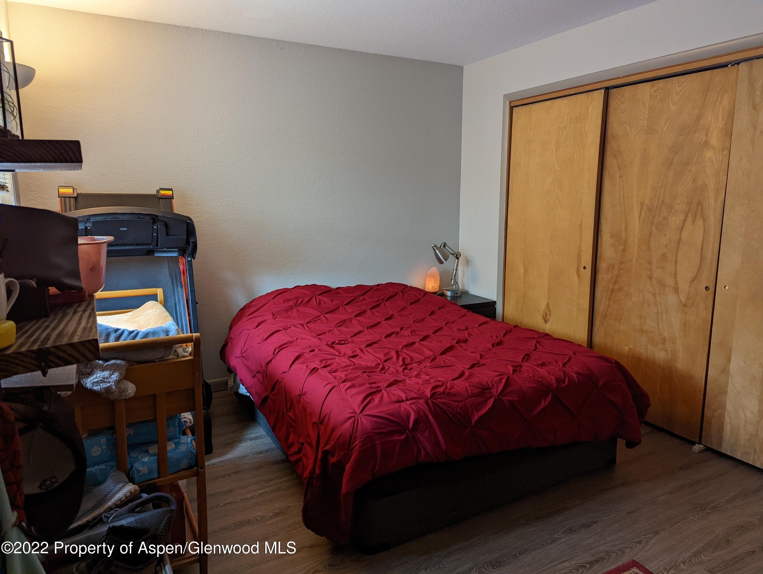 1329 Pitkin Avenue 19, Glenwood Springs, CO 81601 - Photo 13
