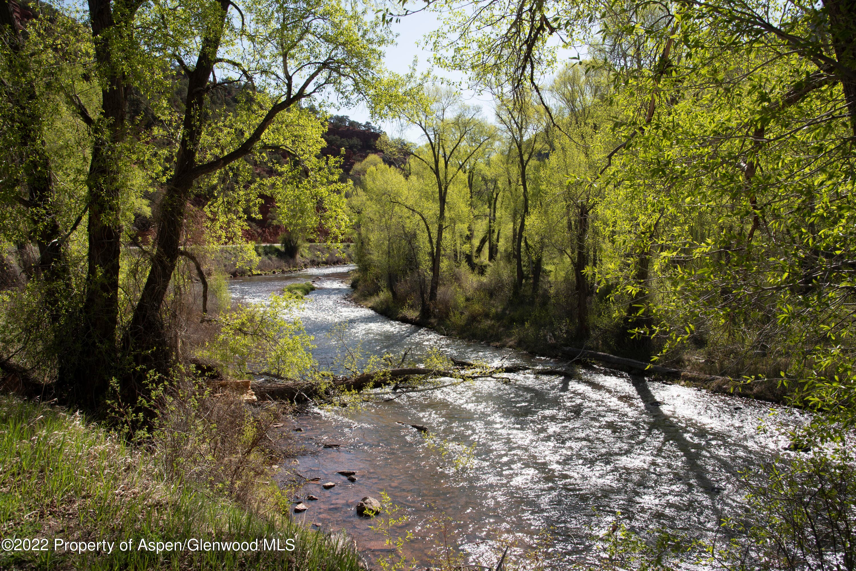 TBD Frying Pan Road, Basalt, CO 81621 - Photo 3