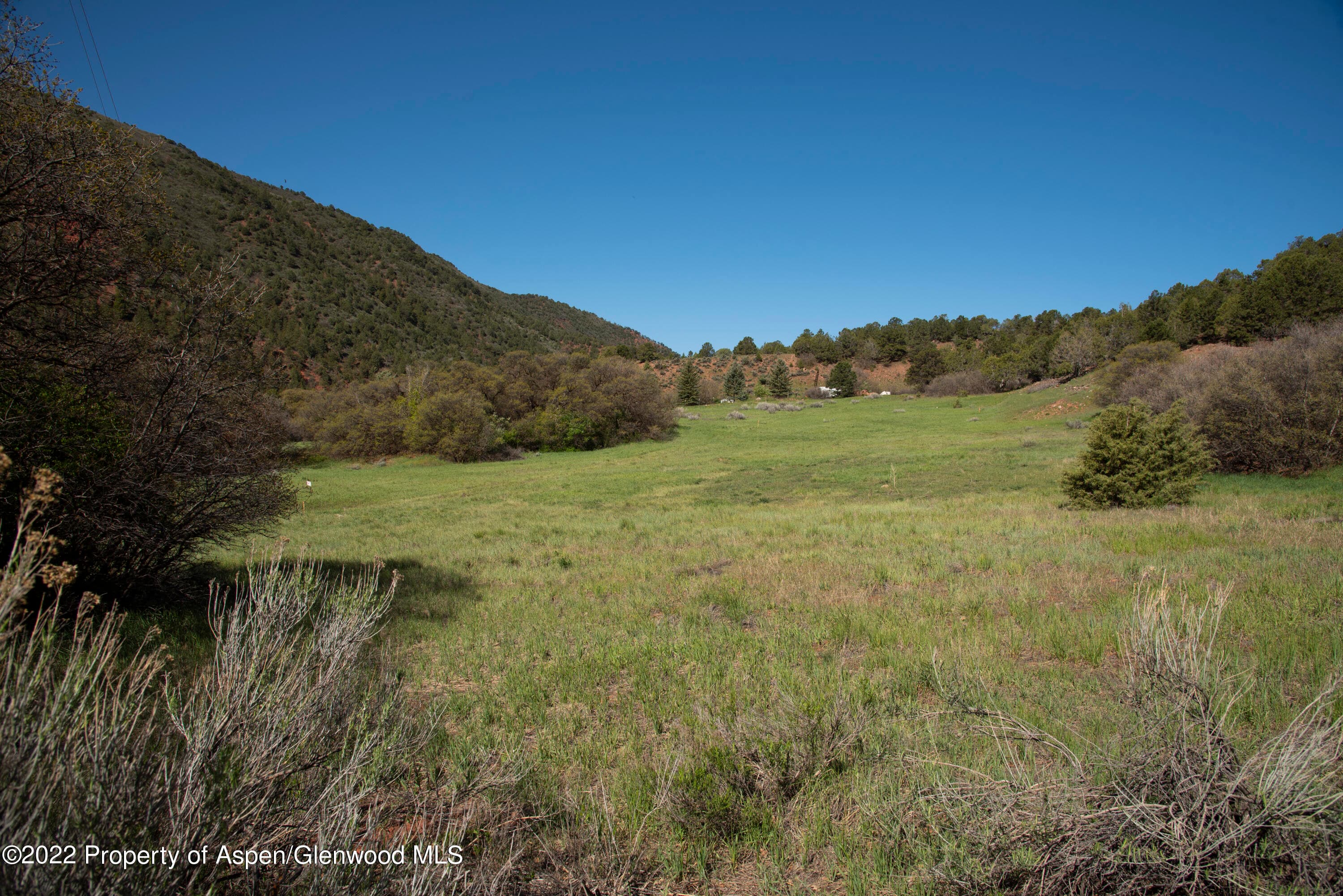 TBD Frying Pan Road, Basalt, CO 81621 - Photo 6