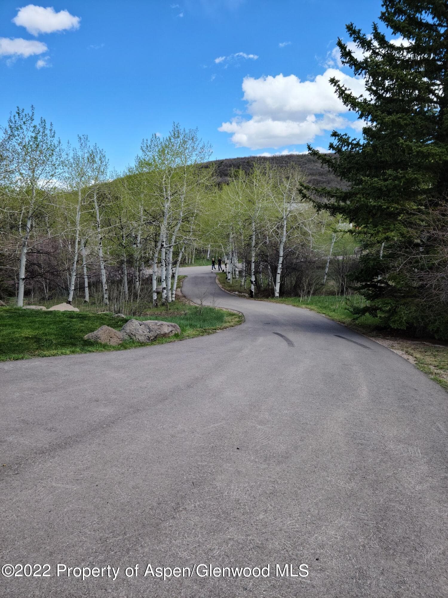 121 Aspen Way, Glenwood Springs, CO 81601 - Photo 12
