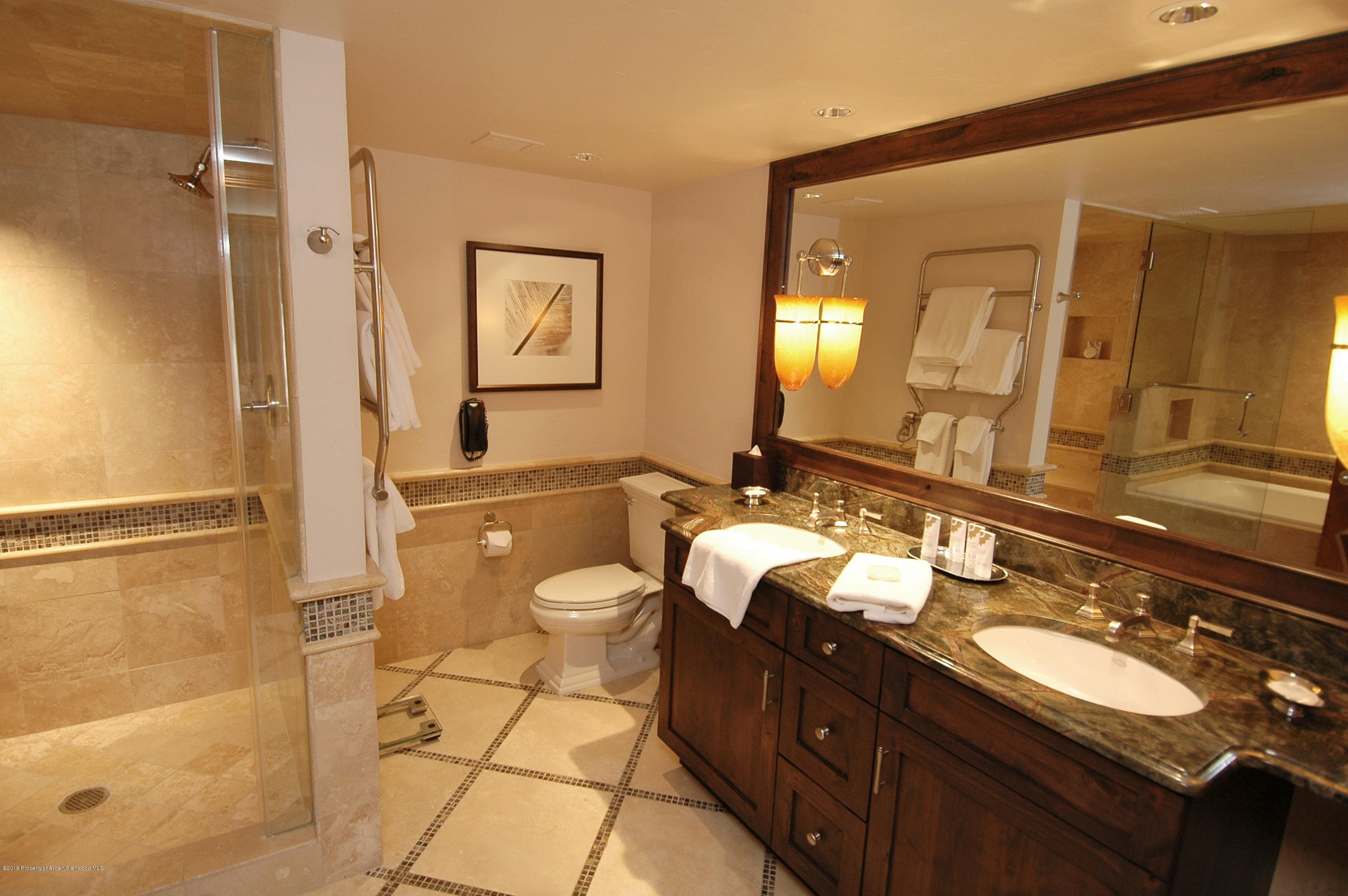 315 E Dean Street B43-K7, Aspen, CO 81611 - Photo 10