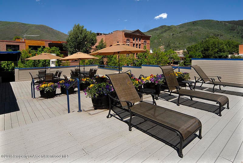 301 E Hyman Avenue #102 (Wks 3, 6, & 14), Aspen, CO 81611 - Photo 4