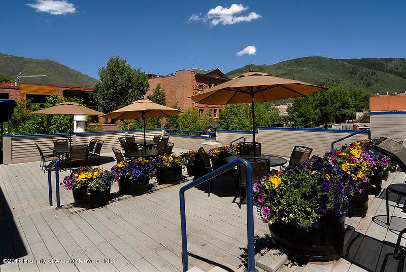301 E Hyman Avenue #102 (Wks 3, 6, & 14), Aspen, CO 81611 - Photo 13