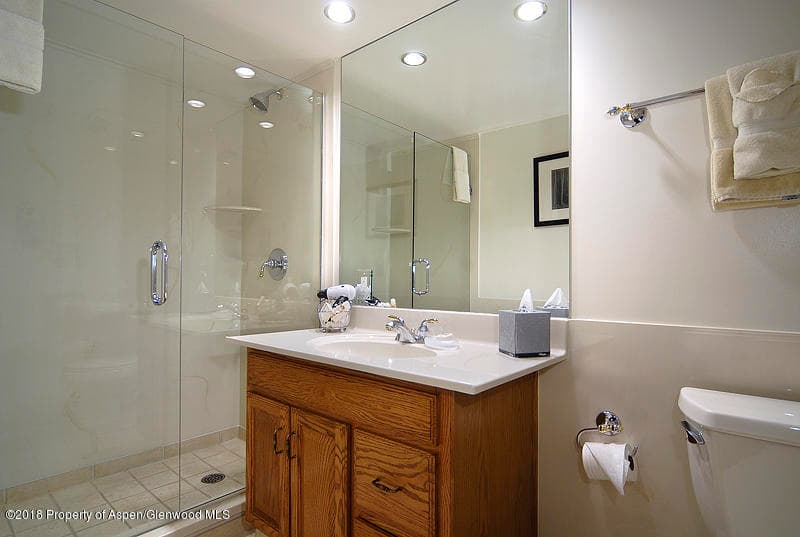 301 E Hyman Avenue #102 (Wks 3, 6, & 14), Aspen, CO 81611 - Photo 10