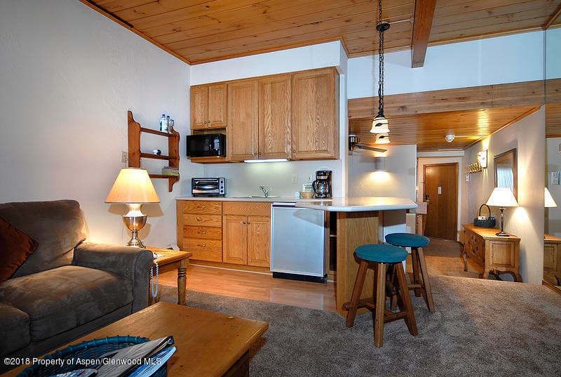 301 E Hyman Avenue #102 (Wks 3, 6, & 14), Aspen, CO 81611 - Photo 12