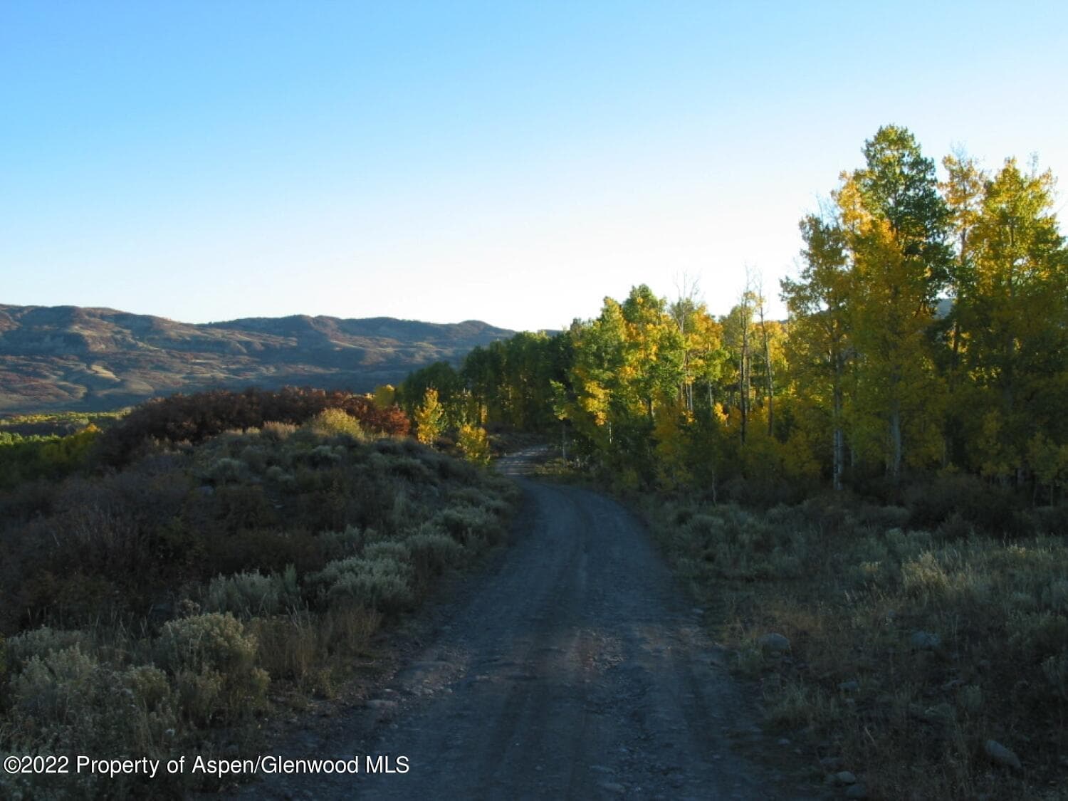 TBD Buckhorn Road 840, Ridgway, CO 81432 - Photo 4