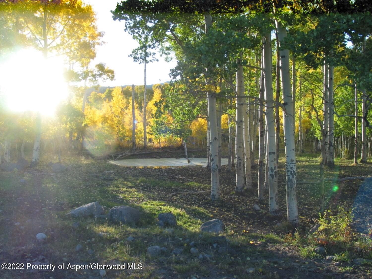 TBD Buckhorn Road 840, Ridgway, CO 81432 - Photo 6