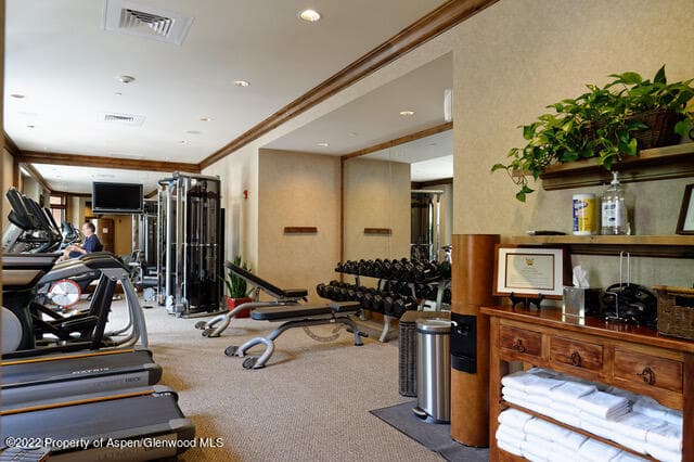 415 E Dean St, Unit 34, Week 32, Aspen, CO 81611 - Photo 13