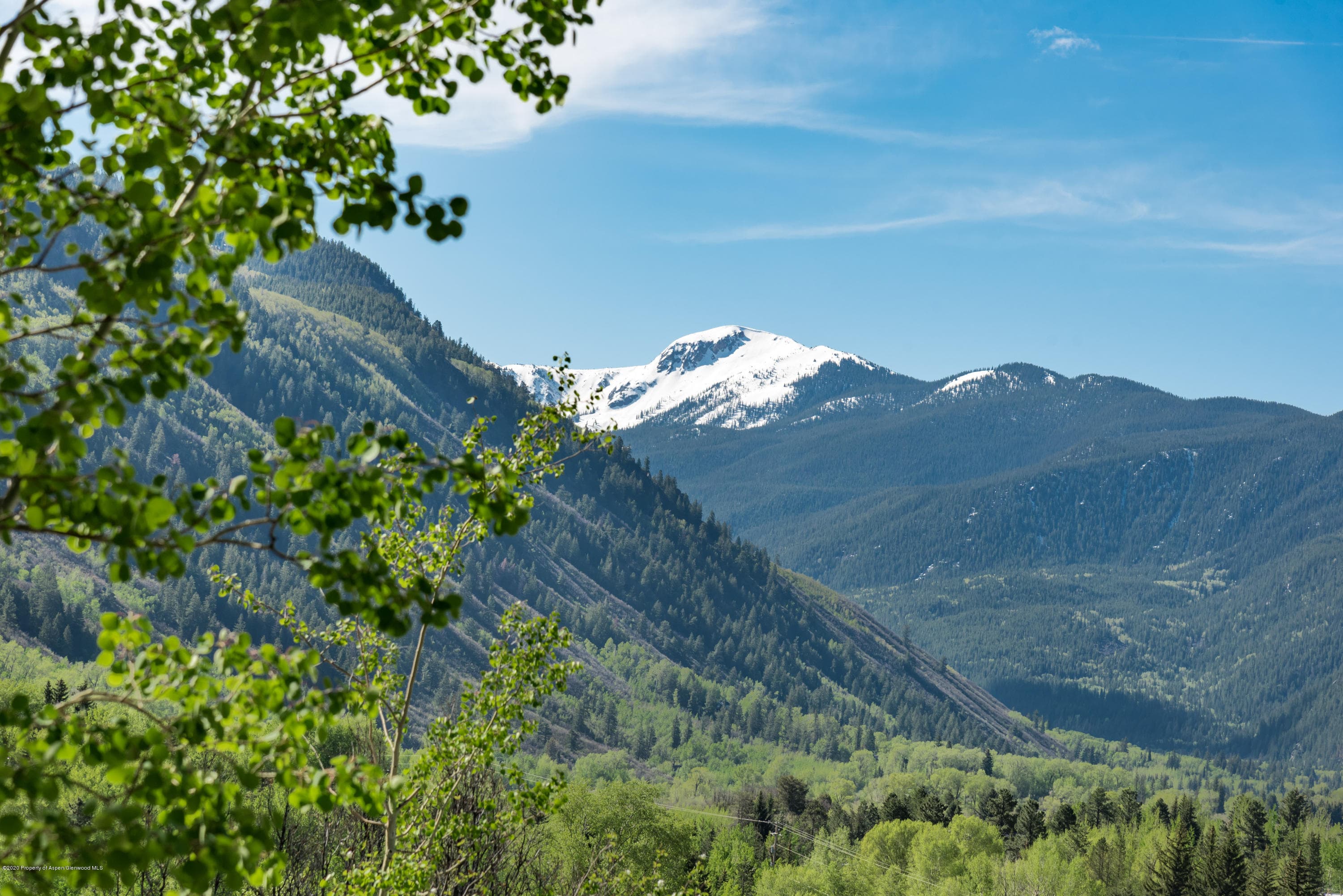 203 Roaring Fork Drive, Aspen, CO 81611 - Photo 4
