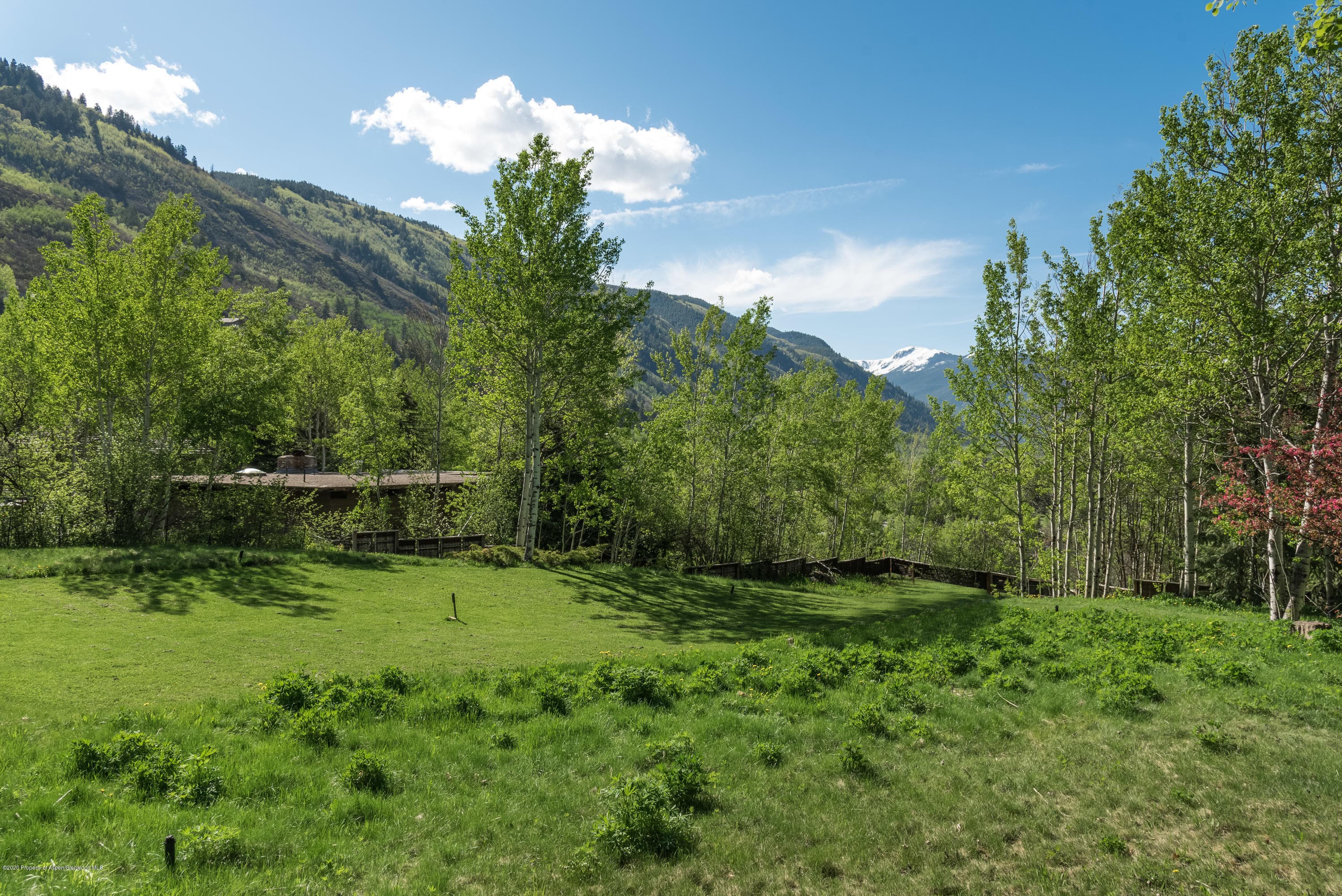 203 Roaring Fork Drive, Aspen, CO 81611 - Photo 7
