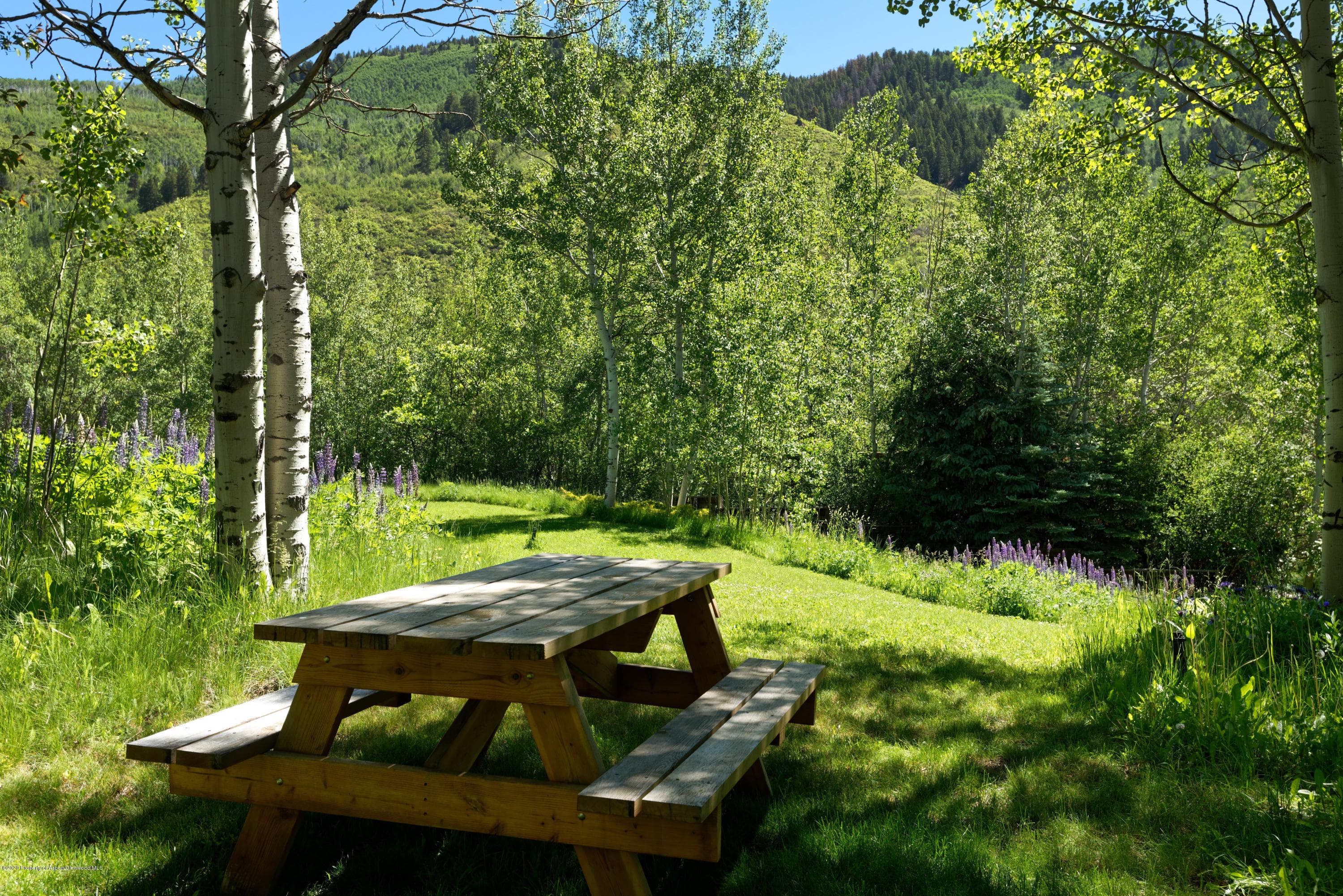 203 Roaring Fork Drive, Aspen, CO 81611 - Photo 6