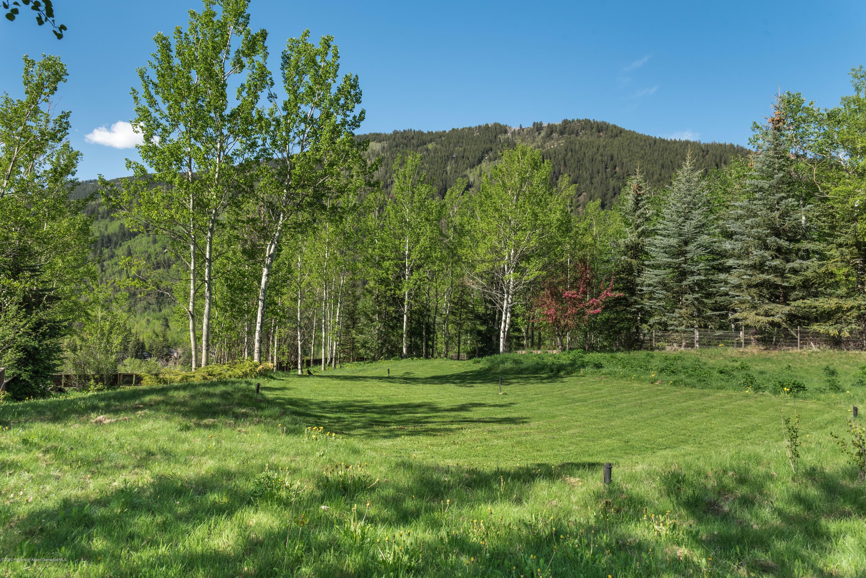 203 Roaring Fork Drive, Aspen, CO 81611 - Photo 11