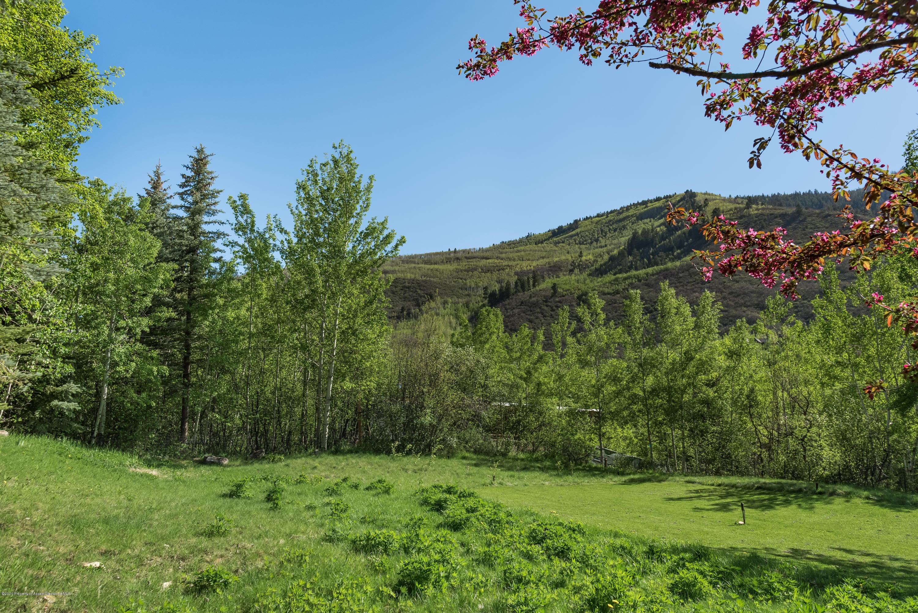203 Roaring Fork Drive, Aspen, CO 81611 - Photo 12