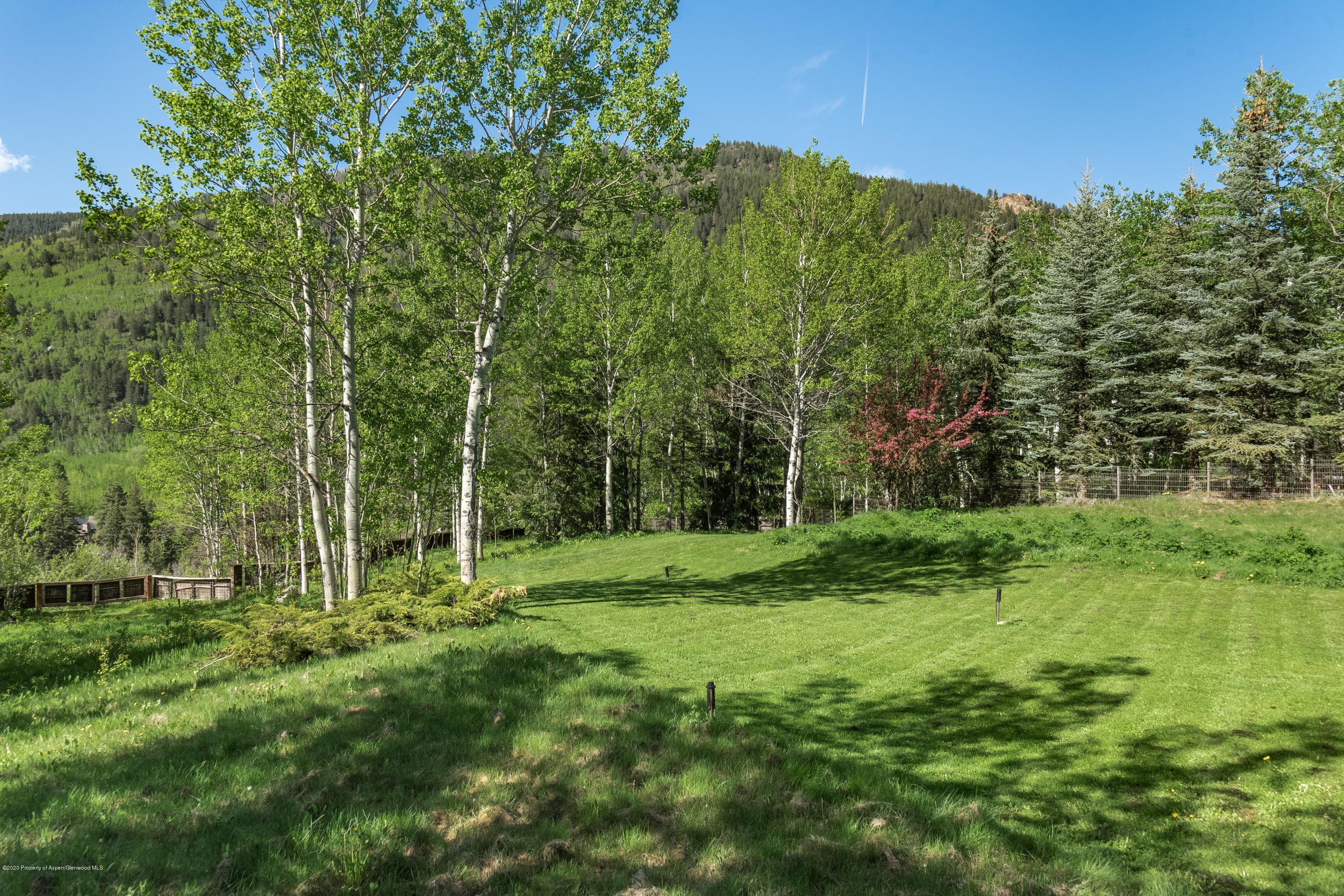 203 Roaring Fork Drive, Aspen, CO 81611 - Photo 14