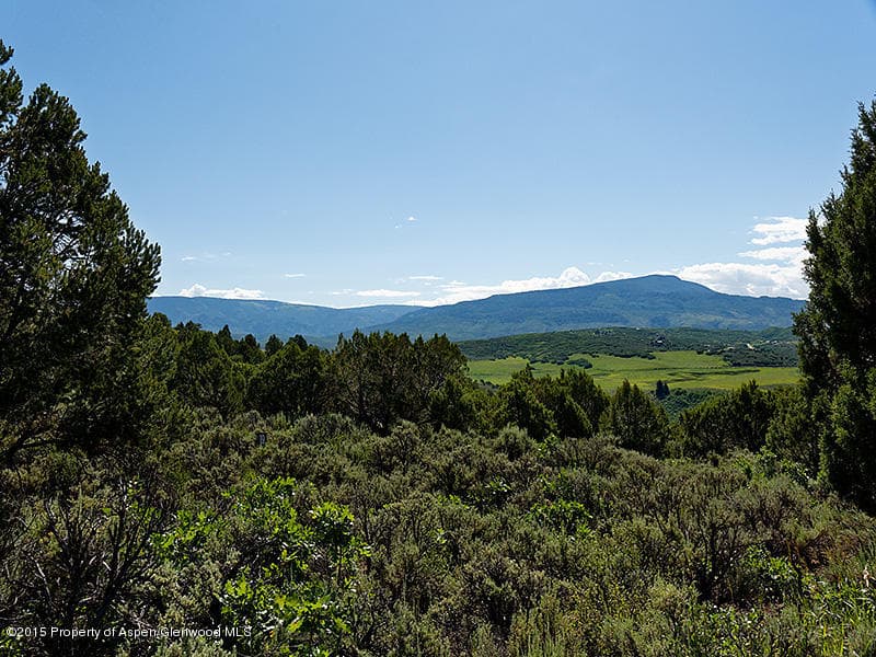 TBD Saddle Drive, Carbondale, CO 81623 - Photo 3