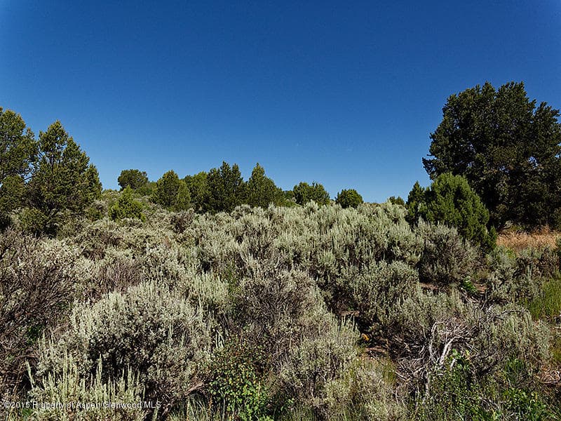 TBD Saddle Drive, Carbondale, CO 81623 - Photo 6