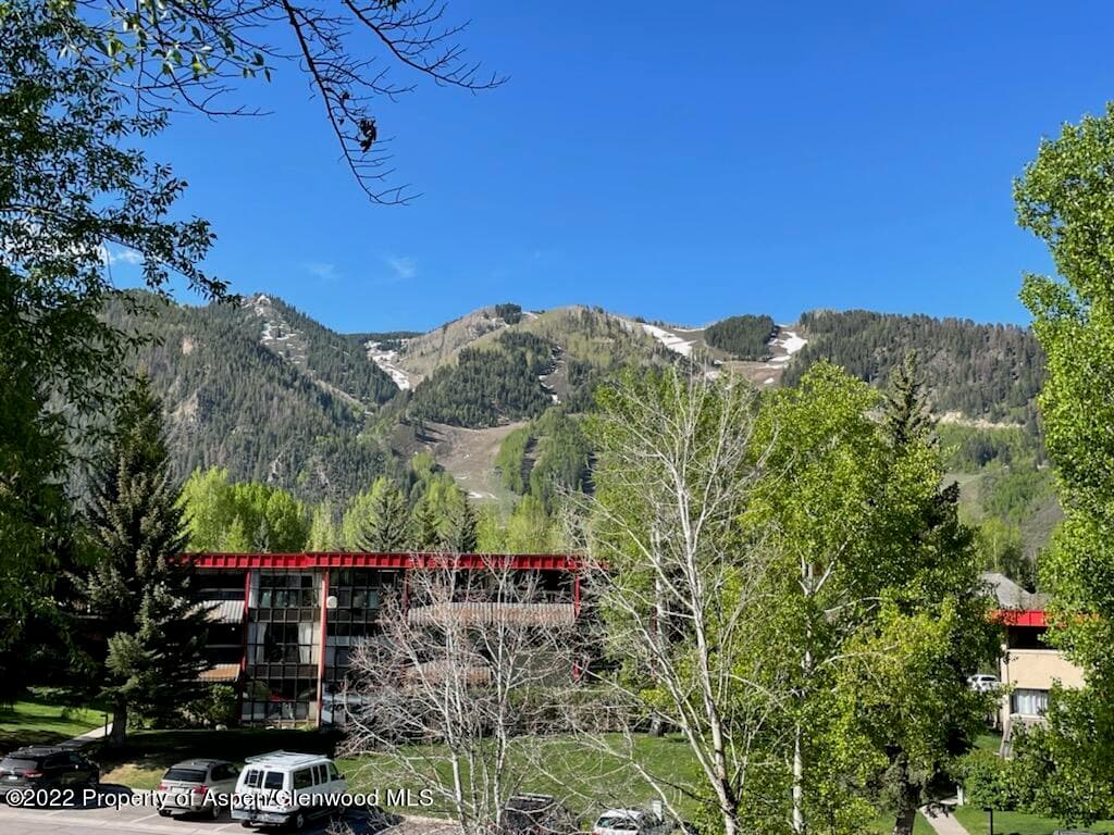 335 Vine Street 335, Aspen, CO 81611 - Photo 1