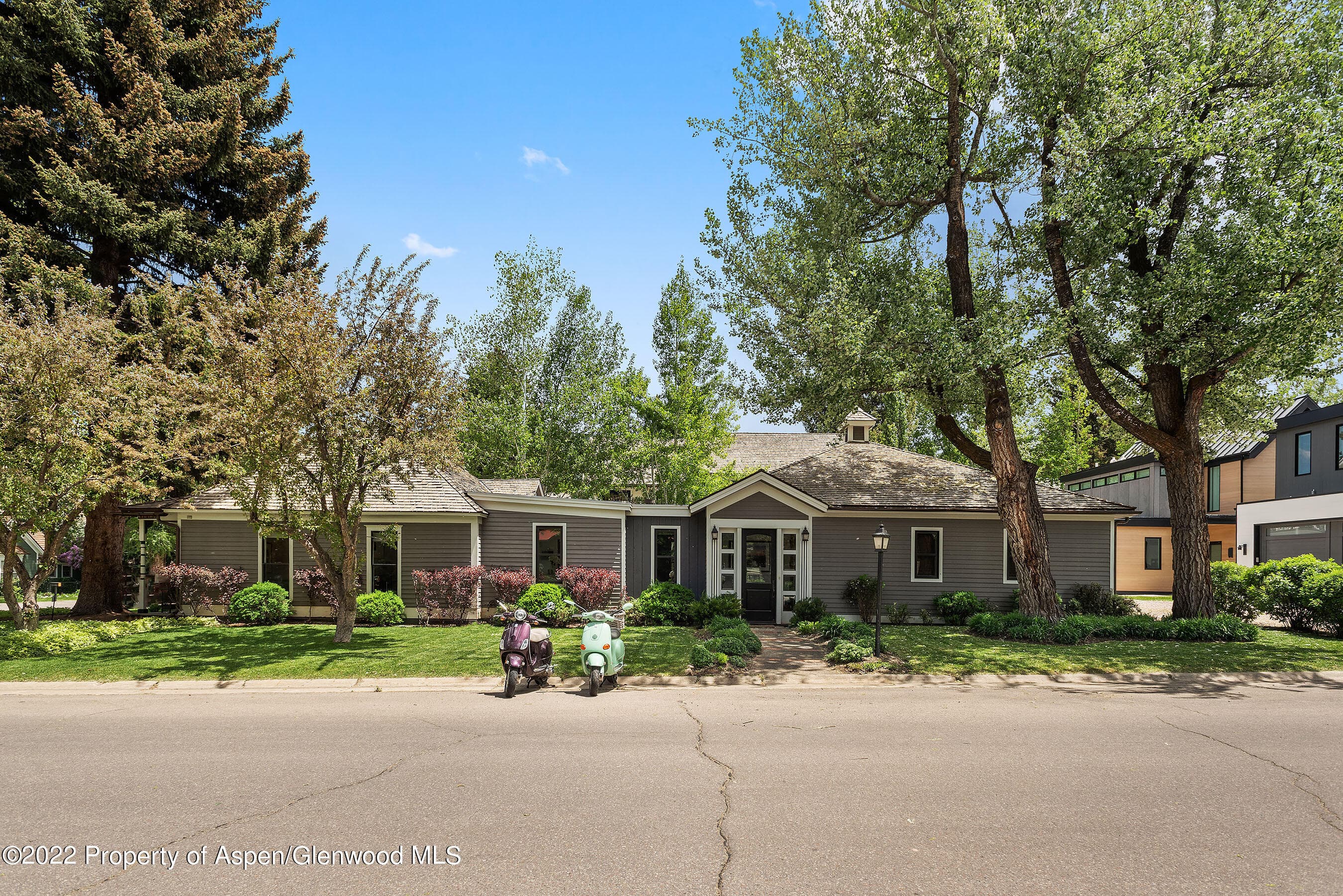 533 W Francis Street, Aspen, CO 81611 - Photo 28