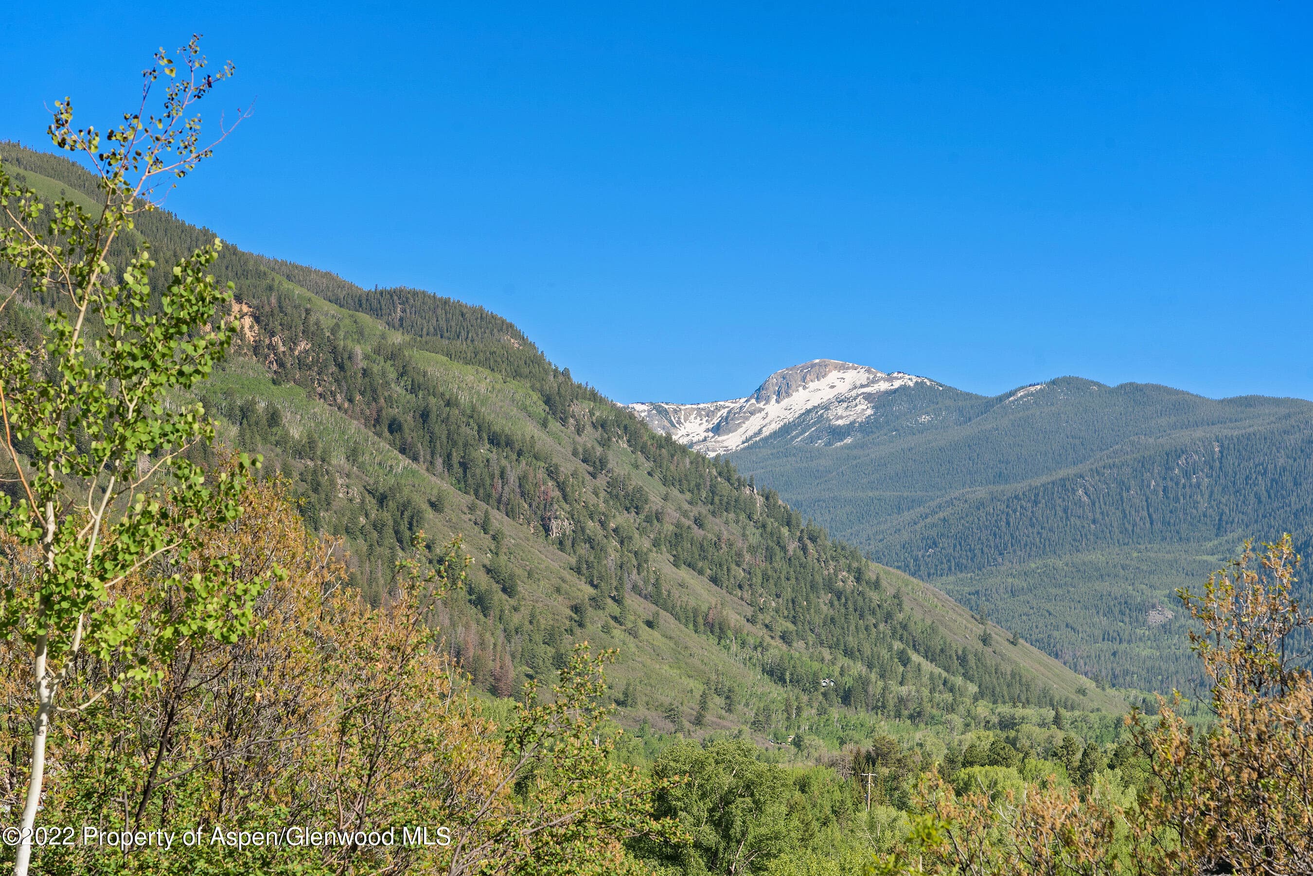 203 Roaring Fork Drive, Aspen, CO 81611 - Photo 15