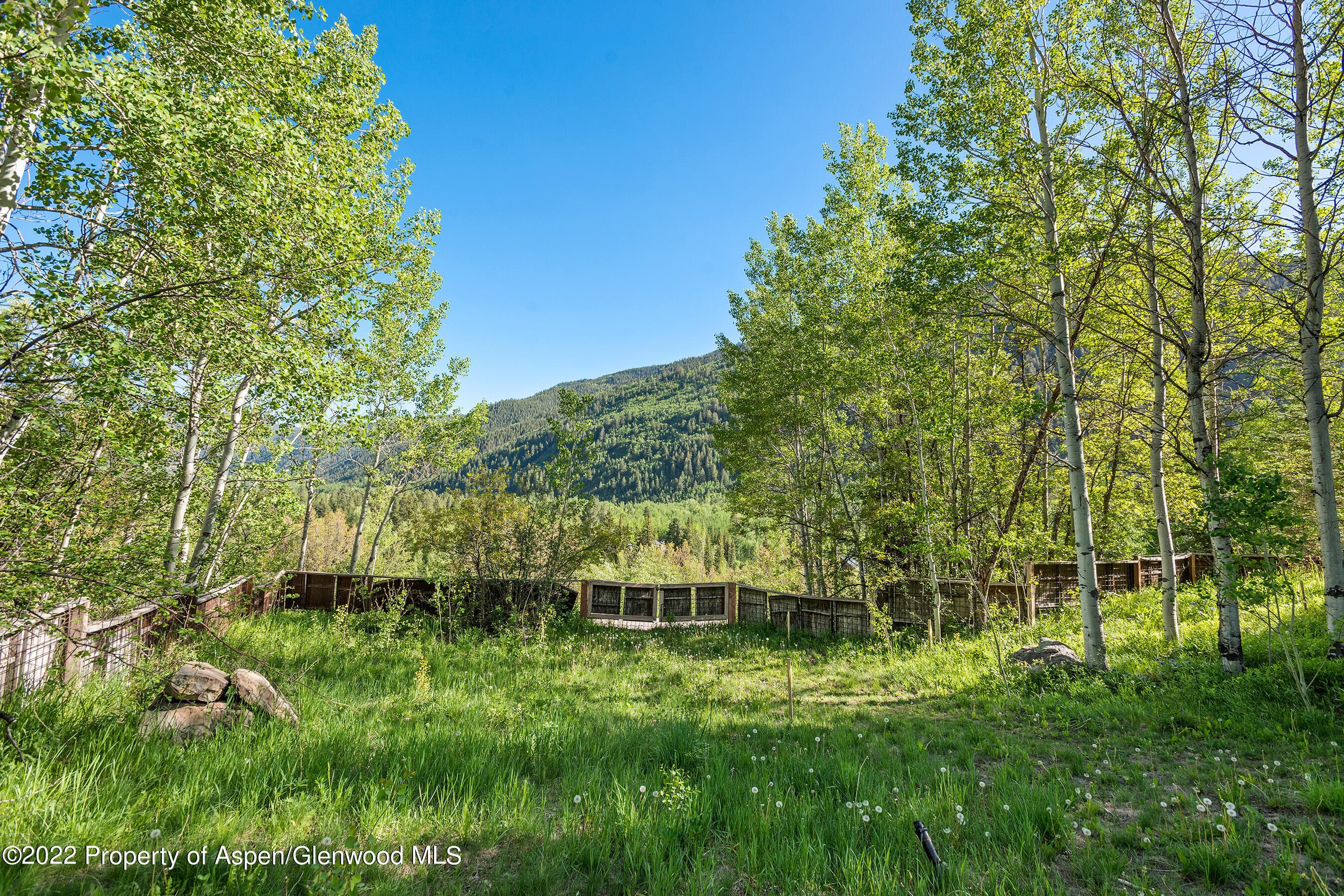 203 Roaring Fork Drive, Aspen, CO 81611 - Photo 16