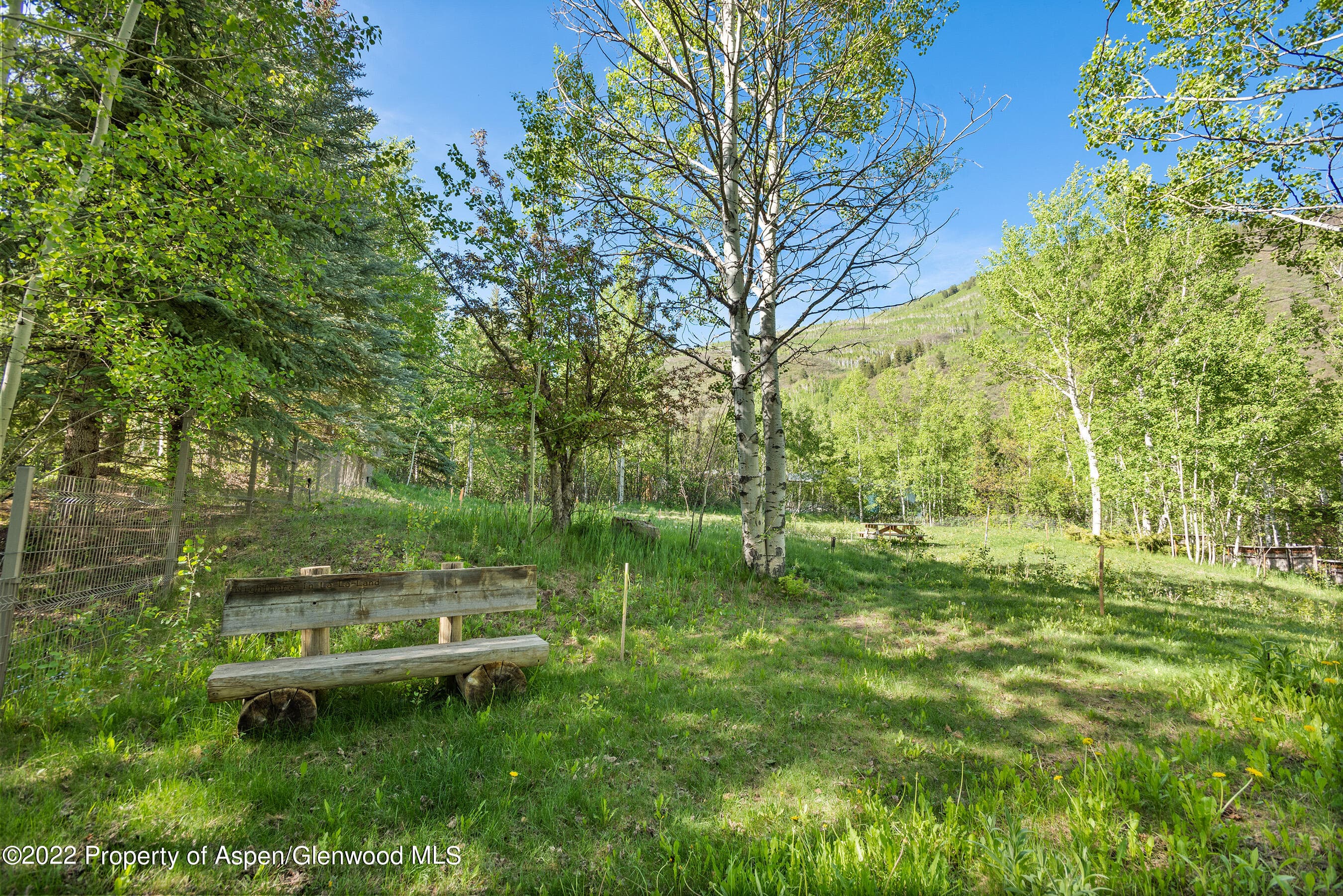203 Roaring Fork Drive, Aspen, CO 81611 - Photo 17