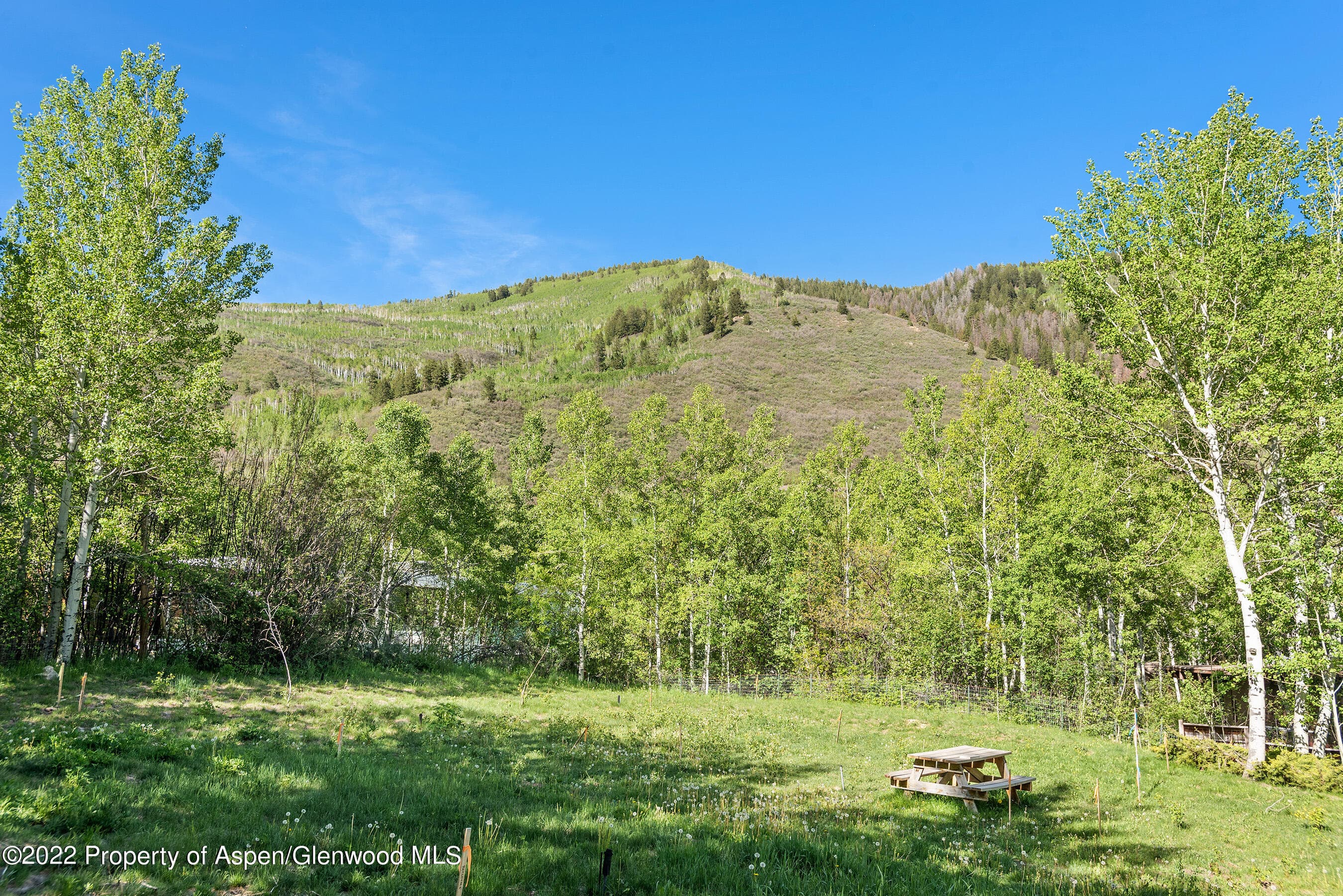 203 Roaring Fork Drive, Aspen, CO 81611 - Photo 18