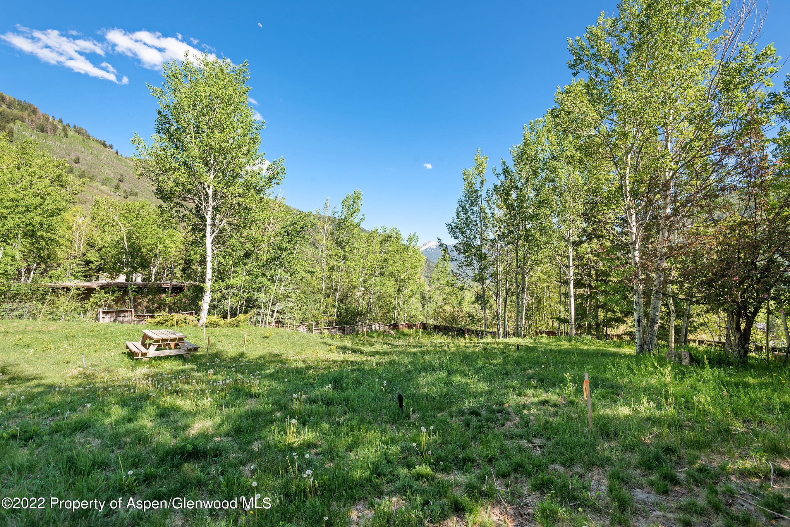 203 Roaring Fork Drive, Aspen, CO 81611 - Photo 19