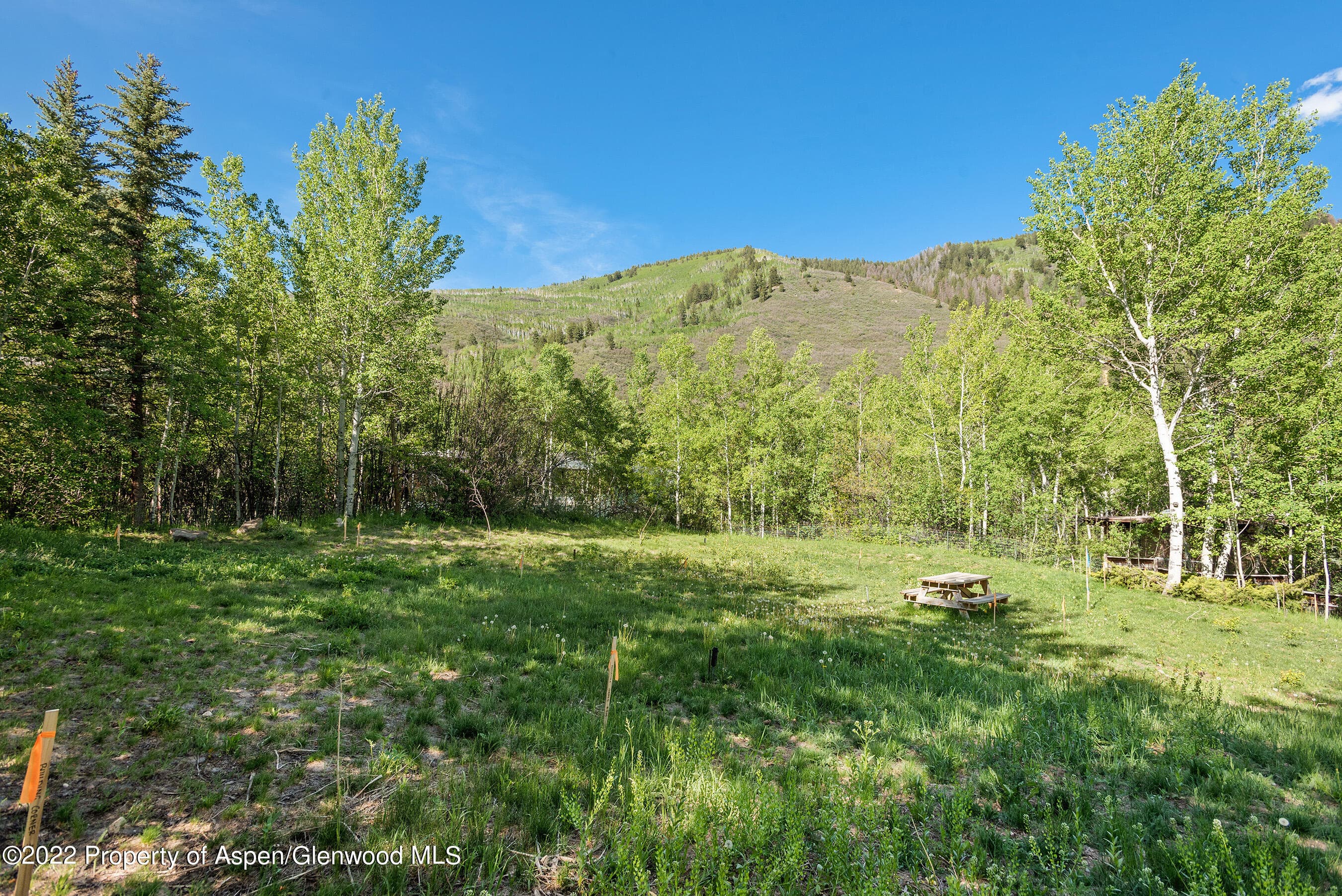 203 Roaring Fork Drive, Aspen, CO 81611 - Photo 20