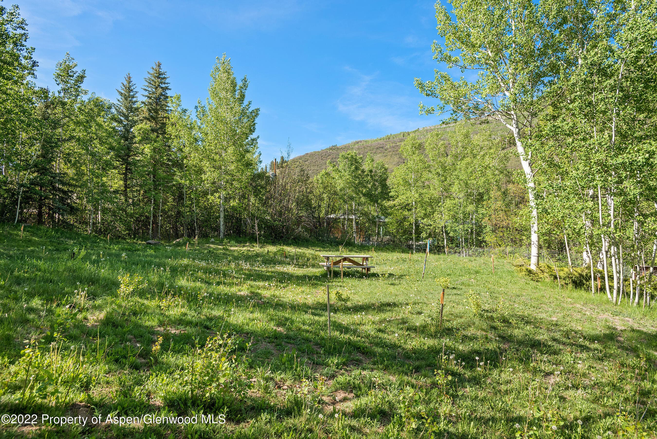 203 Roaring Fork Drive, Aspen, CO 81611 - Photo 21