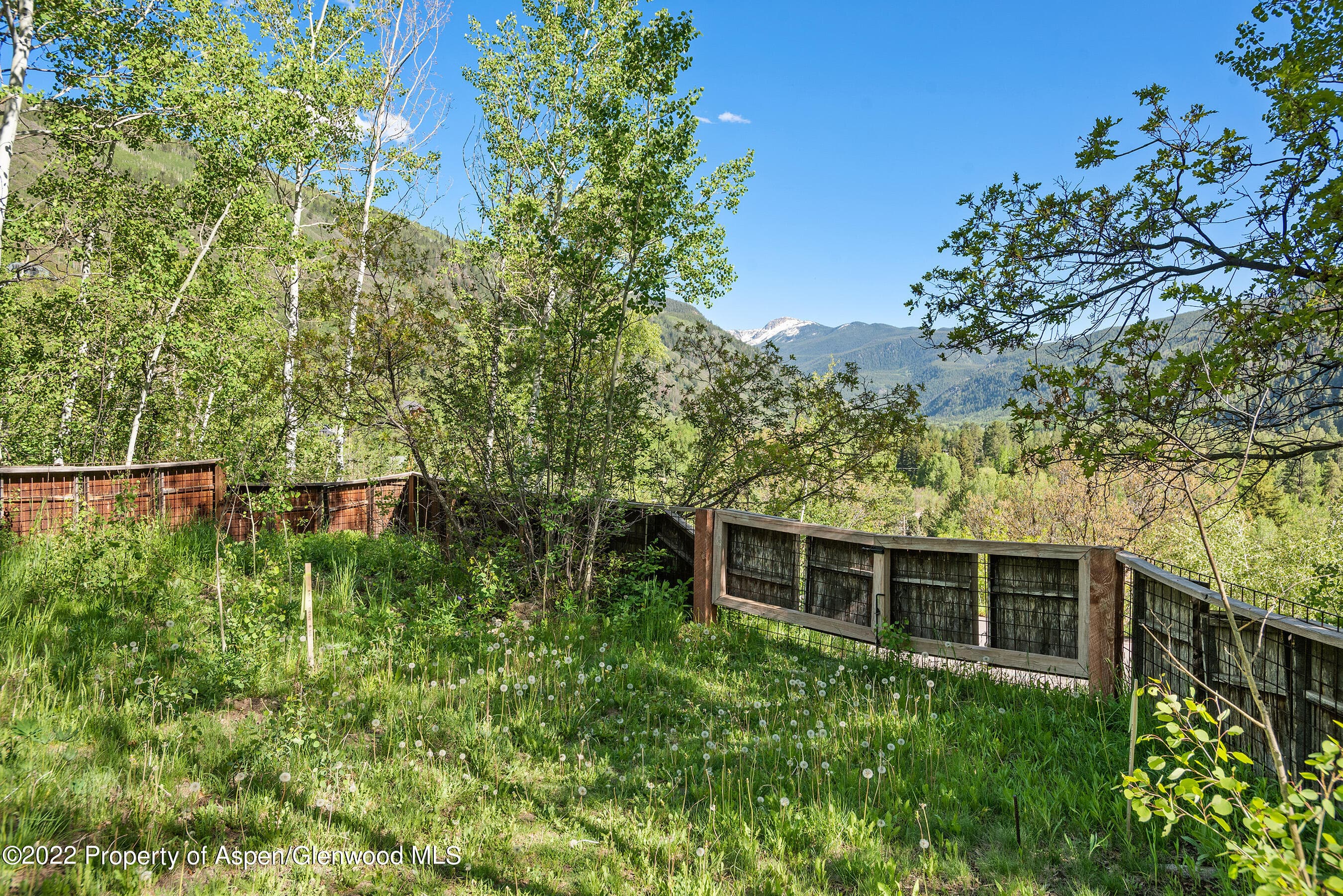 203 Roaring Fork Drive, Aspen, CO 81611 - Photo 8