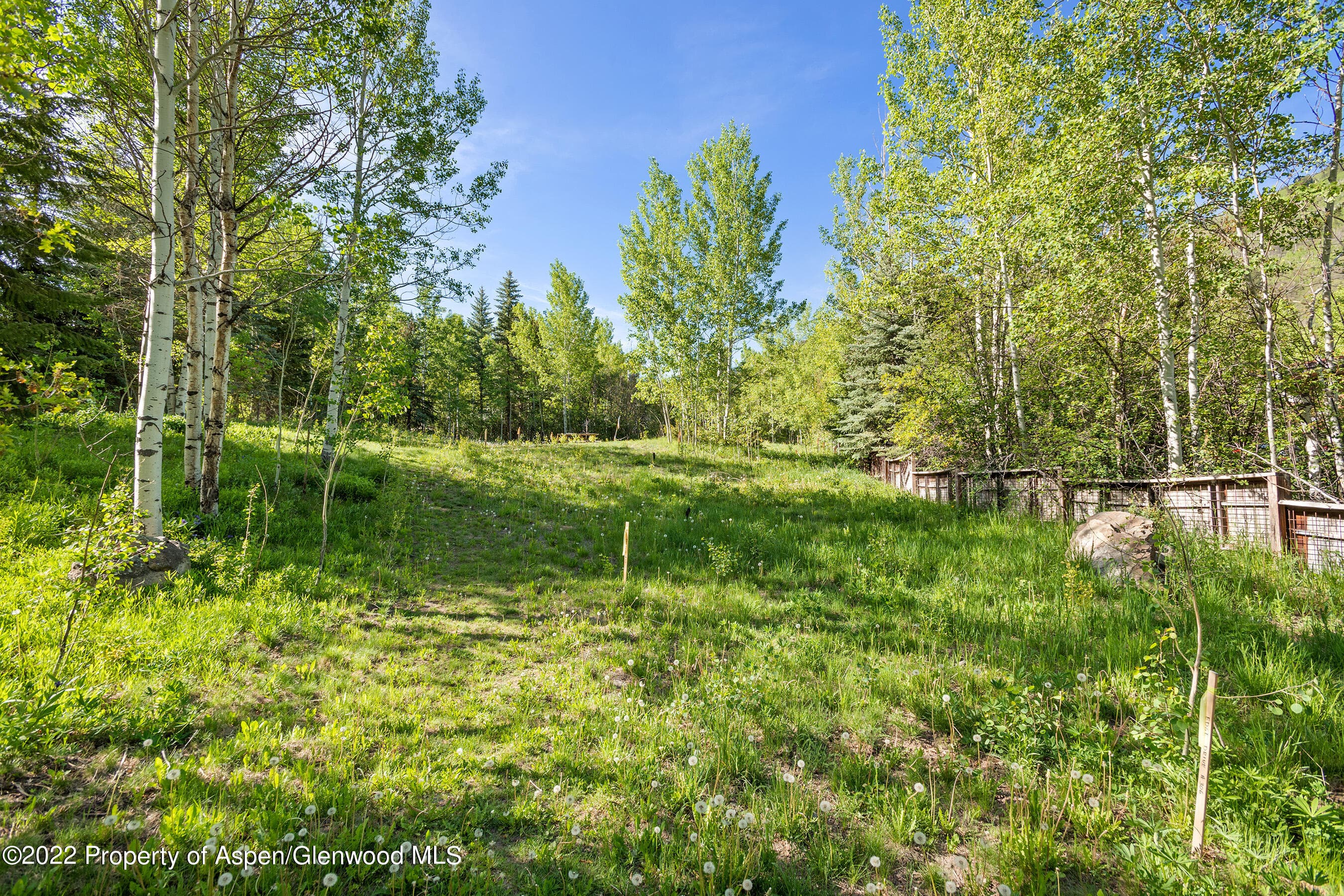203 Roaring Fork Drive, Aspen, CO 81611 - Photo 22