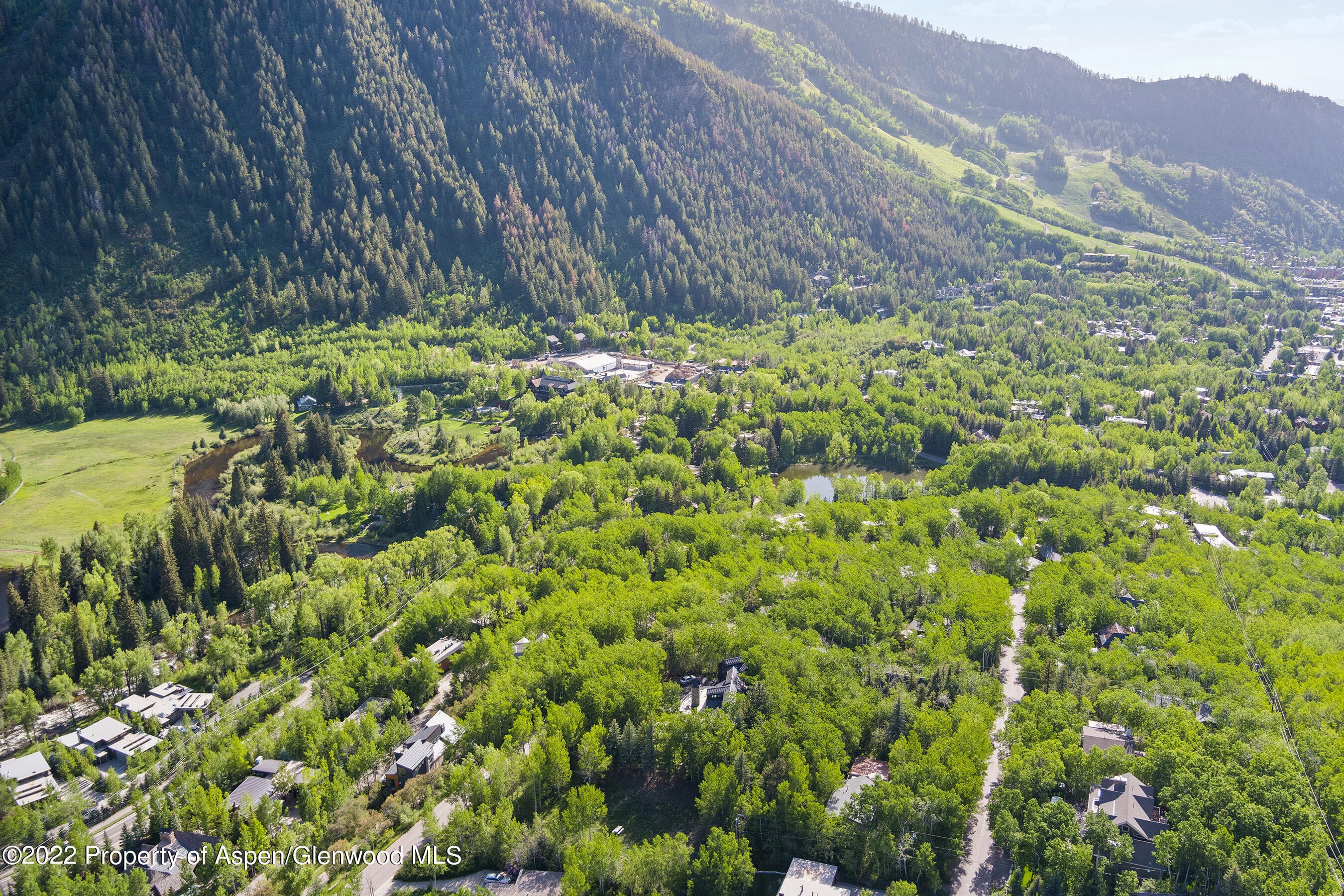 203 Roaring Fork Drive, Aspen, CO 81611 - Photo 10