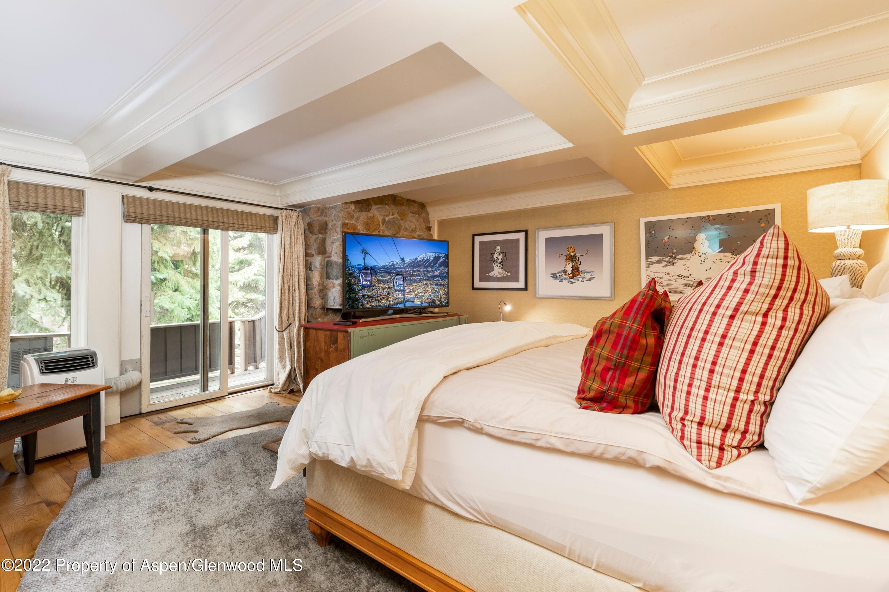 700 S Ute Avenue 202, Aspen, CO 81611 - Photo 6
