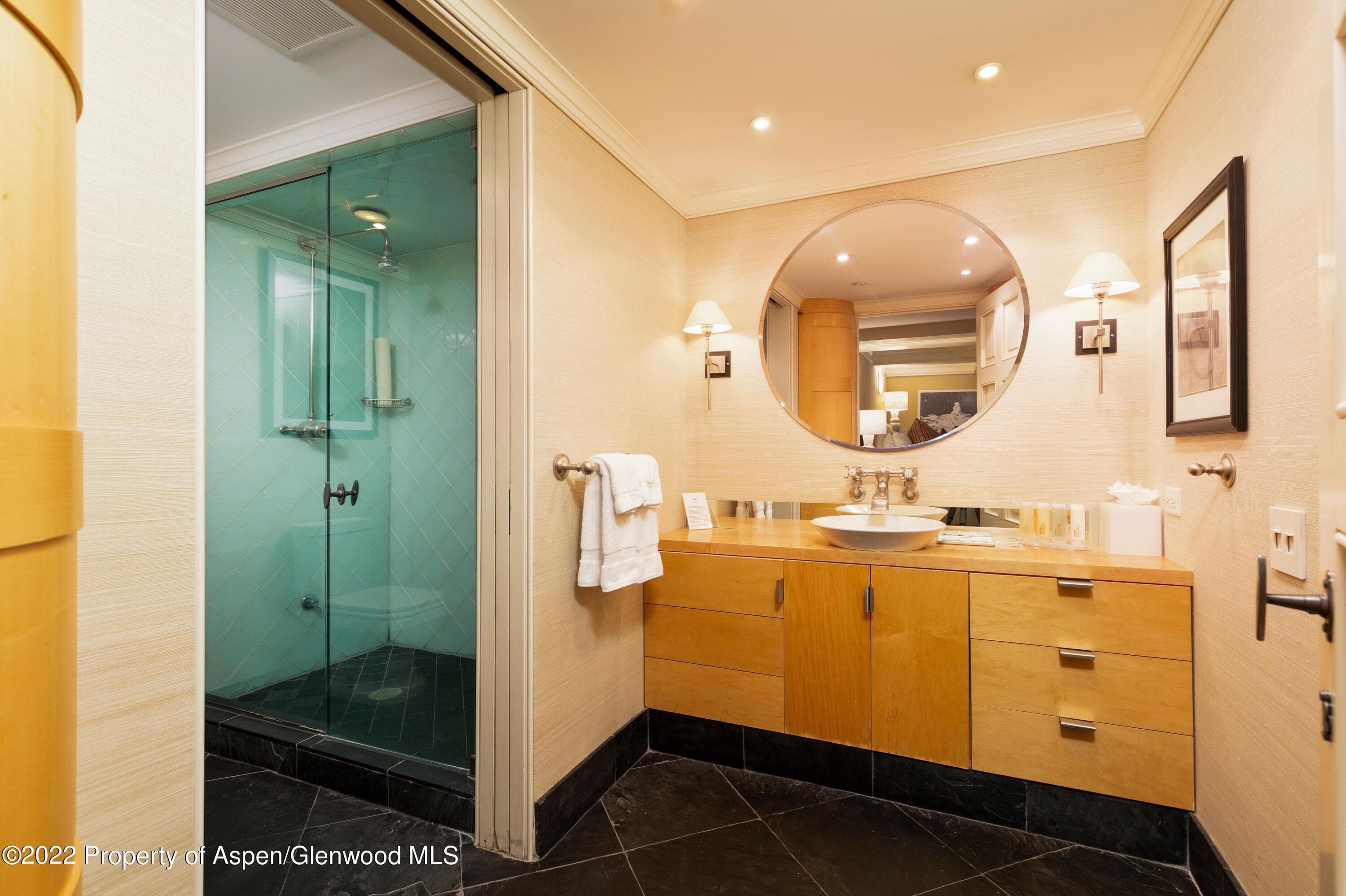 700 S Ute Avenue 202, Aspen, CO 81611 - Photo 7