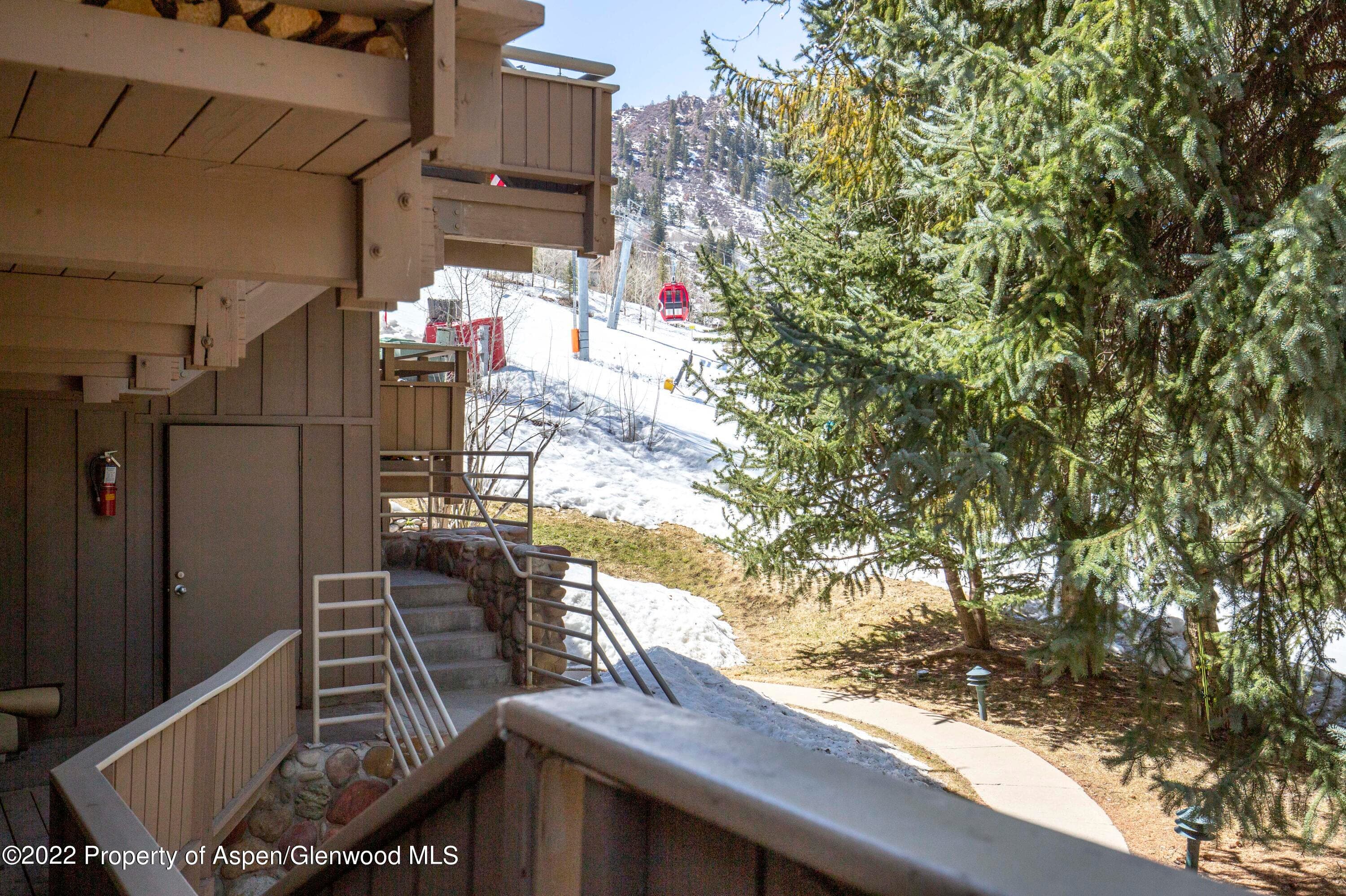 700 S Ute Avenue 202, Aspen, CO 81611 - Photo 13