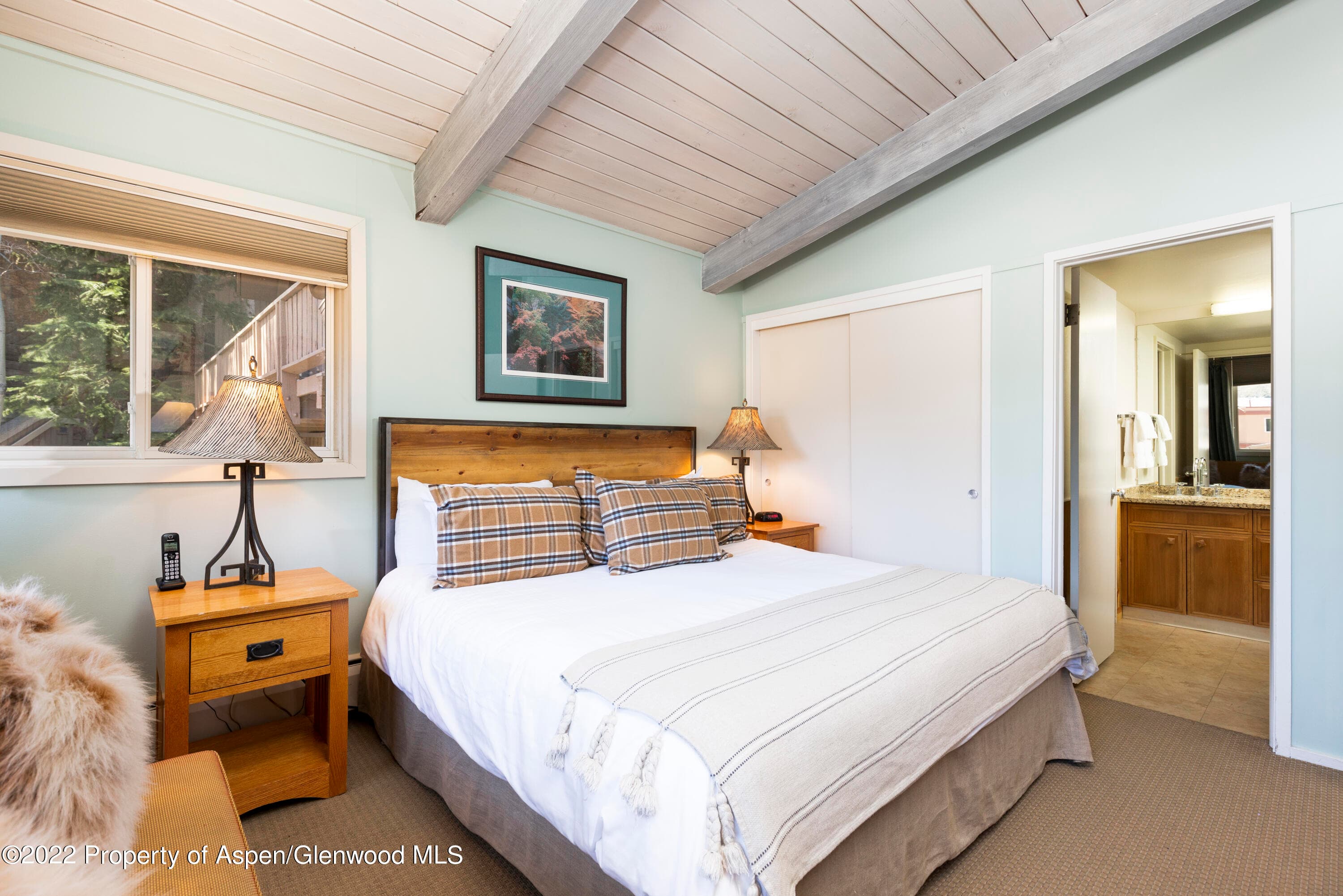 700 S Ute Avenue 210, Aspen, CO 81611 - Photo 2