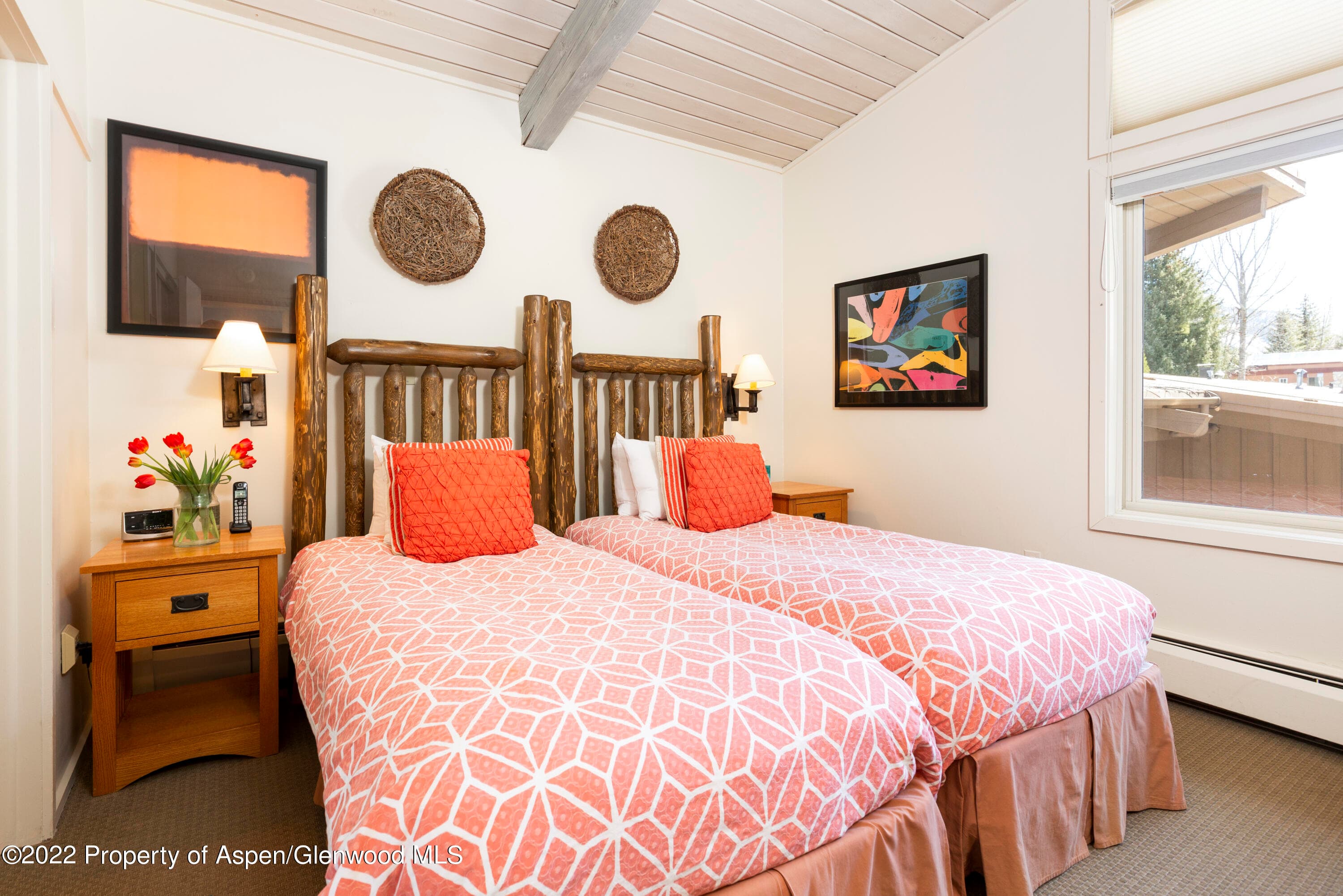 700 S Ute Avenue 210, Aspen, CO 81611 - Photo 3
