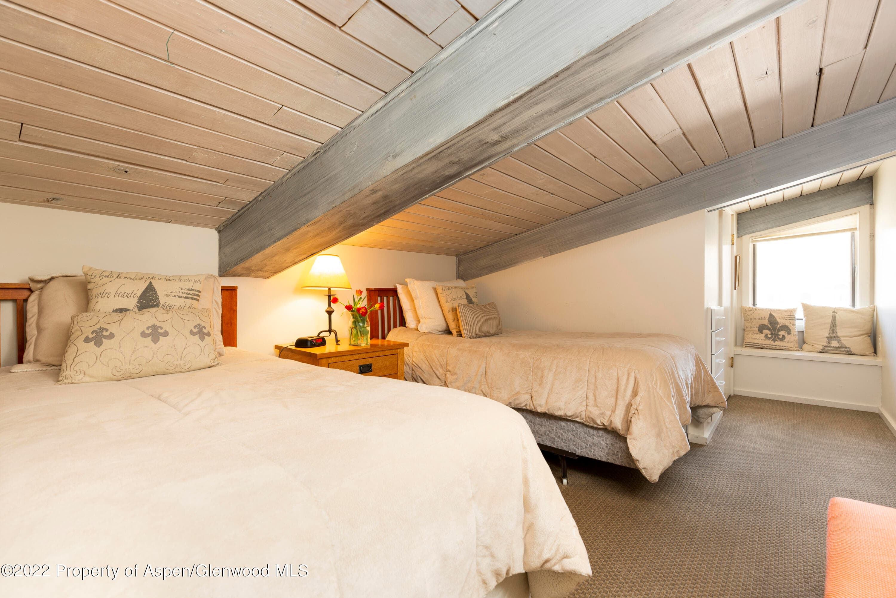 700 S Ute Avenue 210, Aspen, CO 81611 - Photo 9