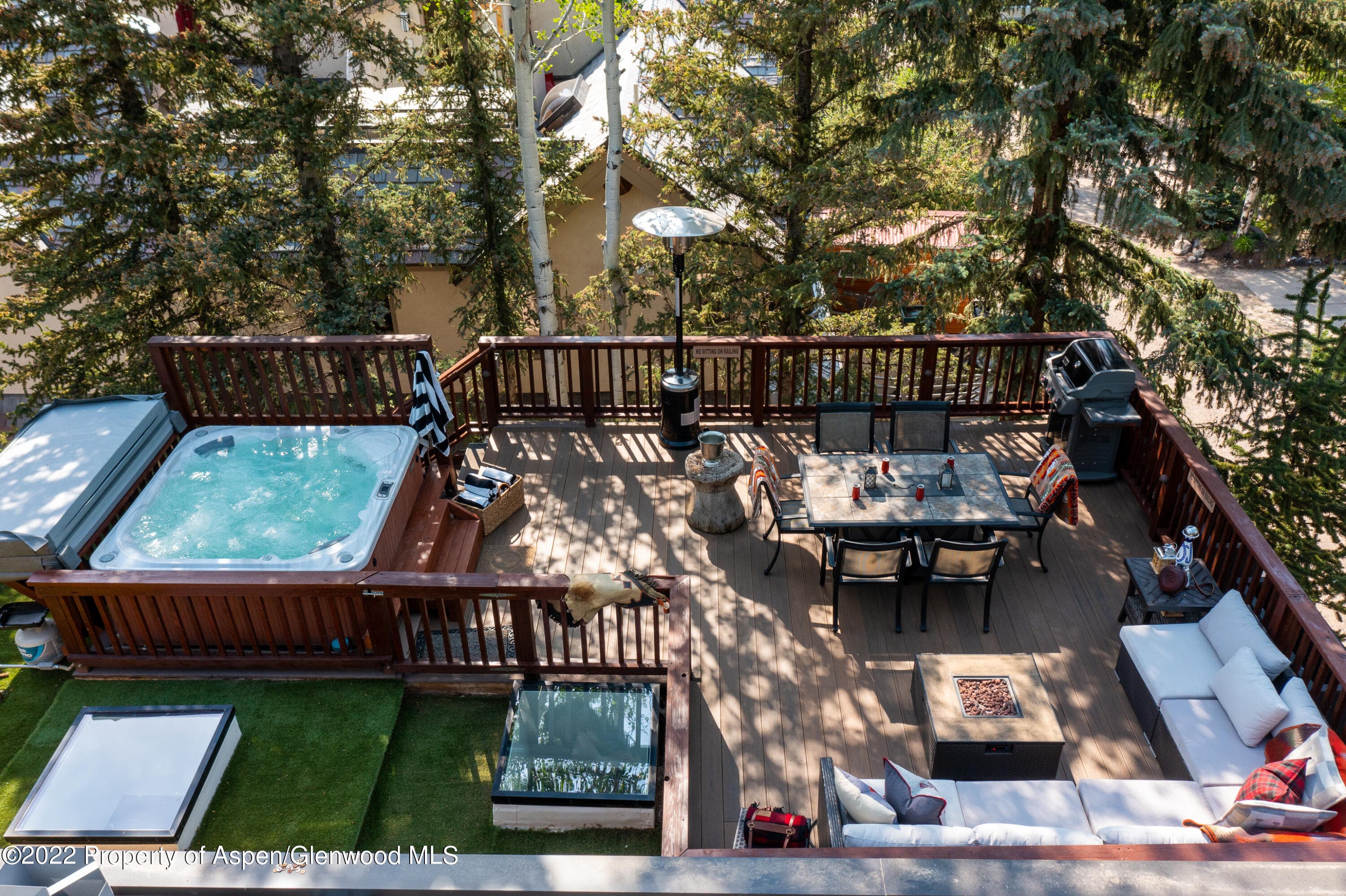 1016 E Hyman Avenue 2, Aspen, CO 81611 - Photo 17