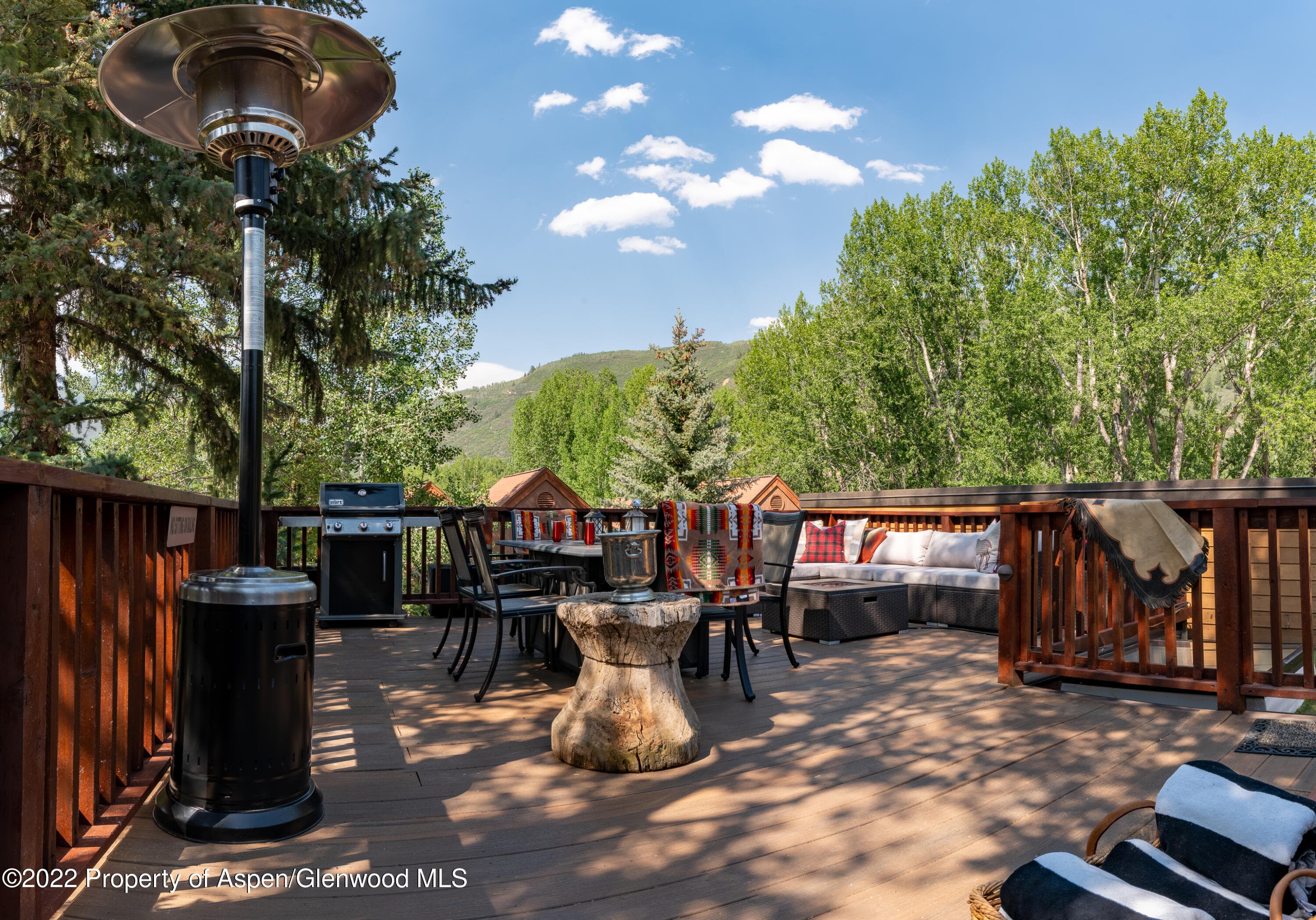 1016 E Hyman Avenue 2, Aspen, CO 81611 - Photo 15
