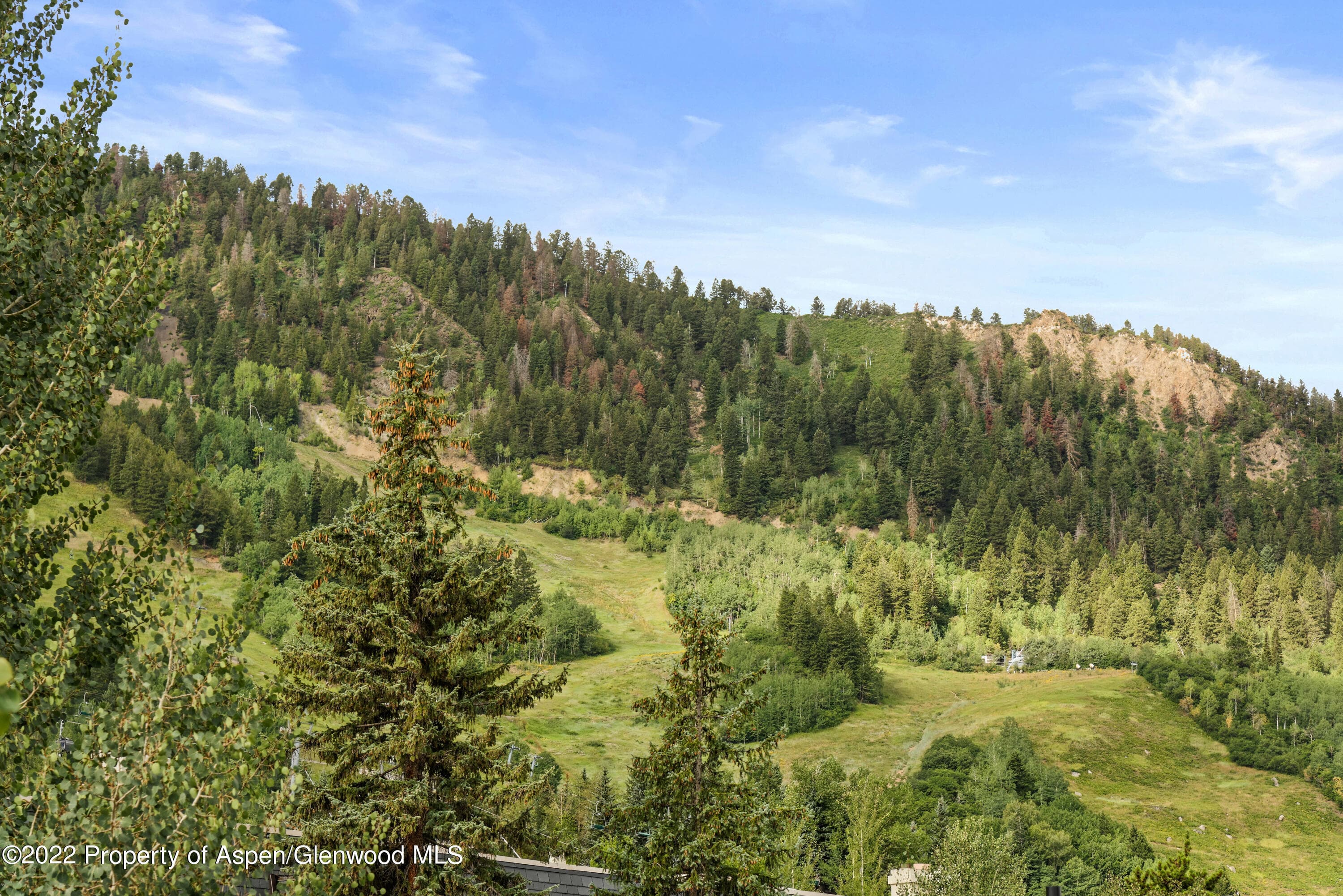 450 S Original Street 8, Aspen, CO 81611 - Photo 20