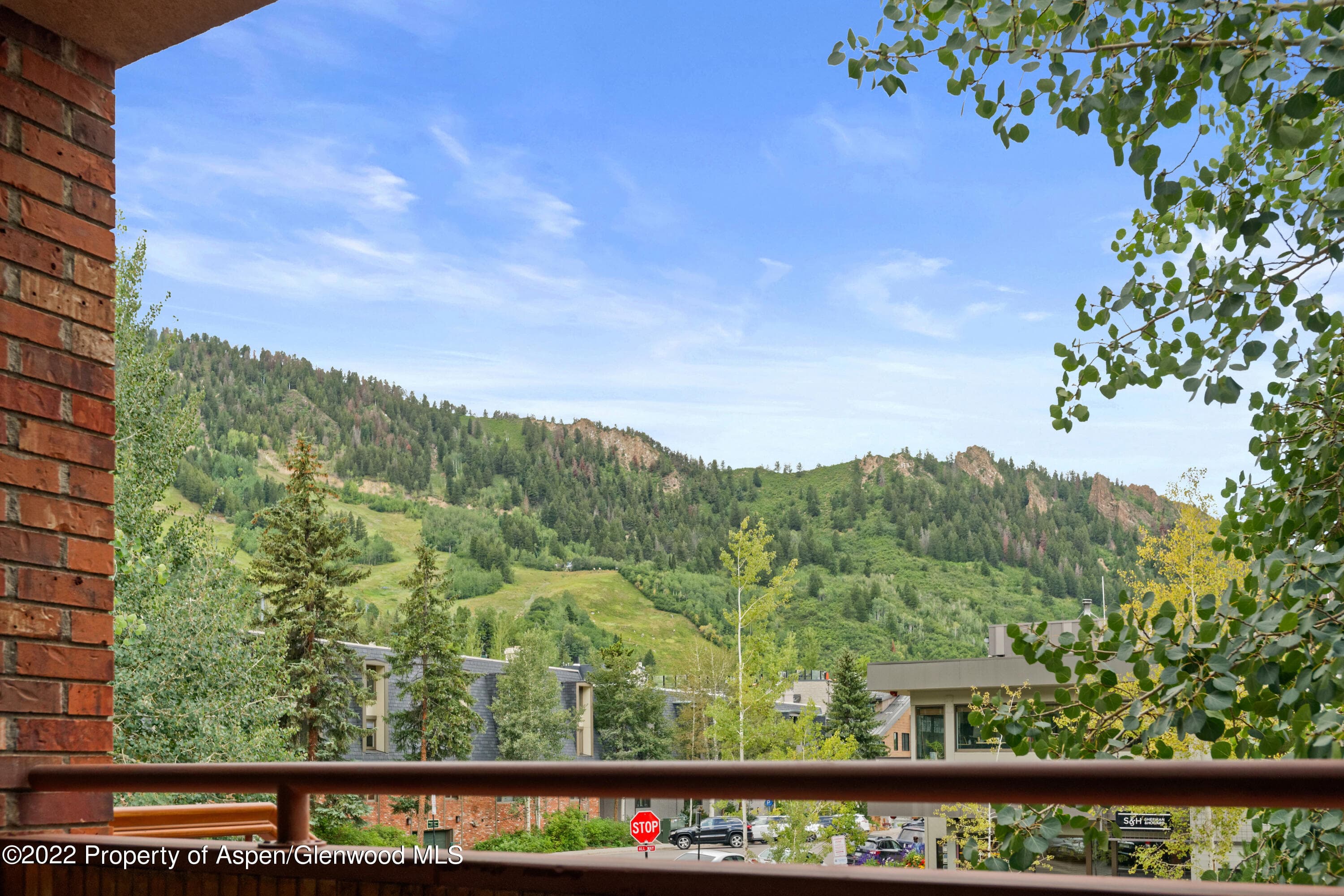 450 S Original Street 8, Aspen, CO 81611 - Photo 18
