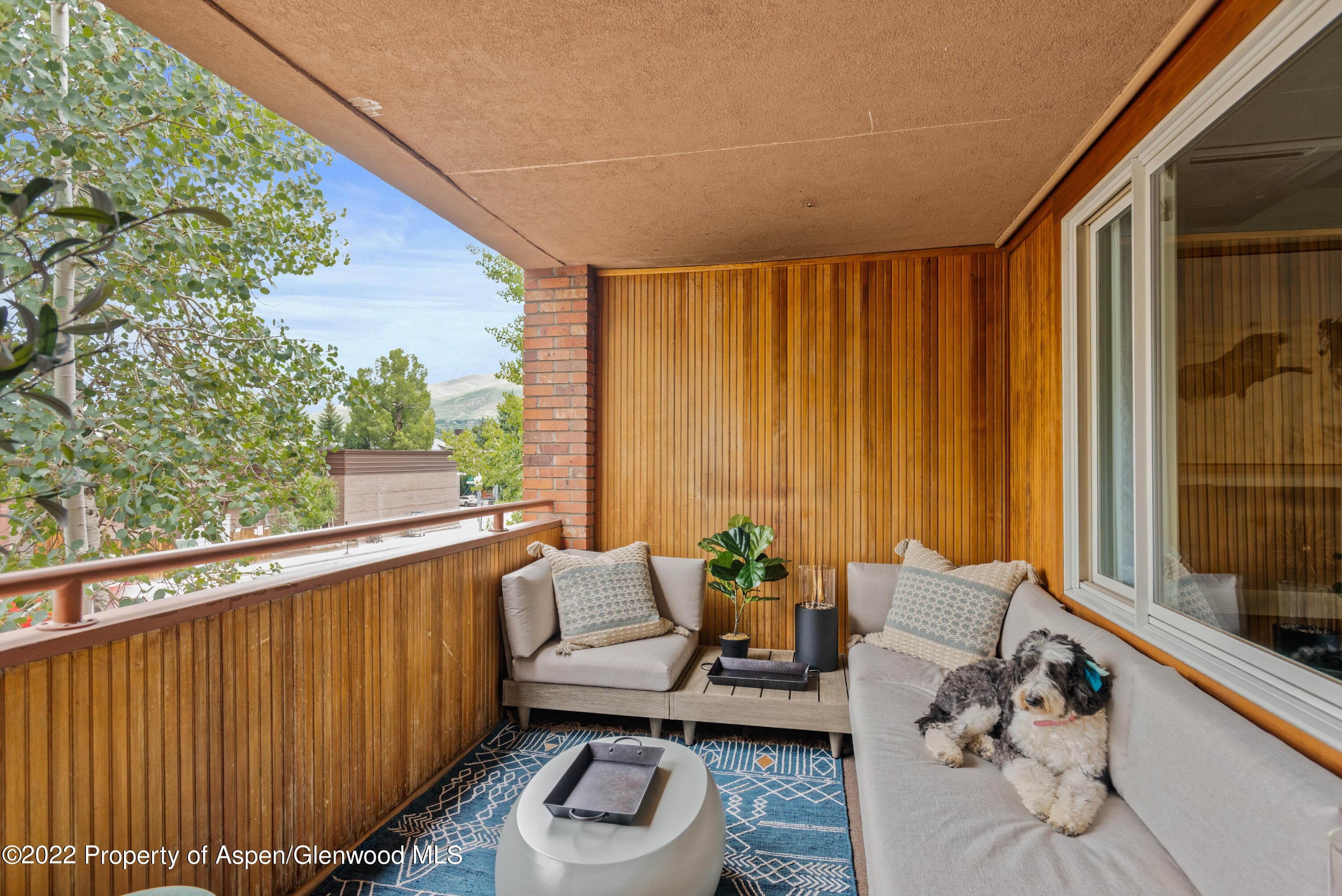 450 S Original Street 8, Aspen, CO 81611 - Photo 17