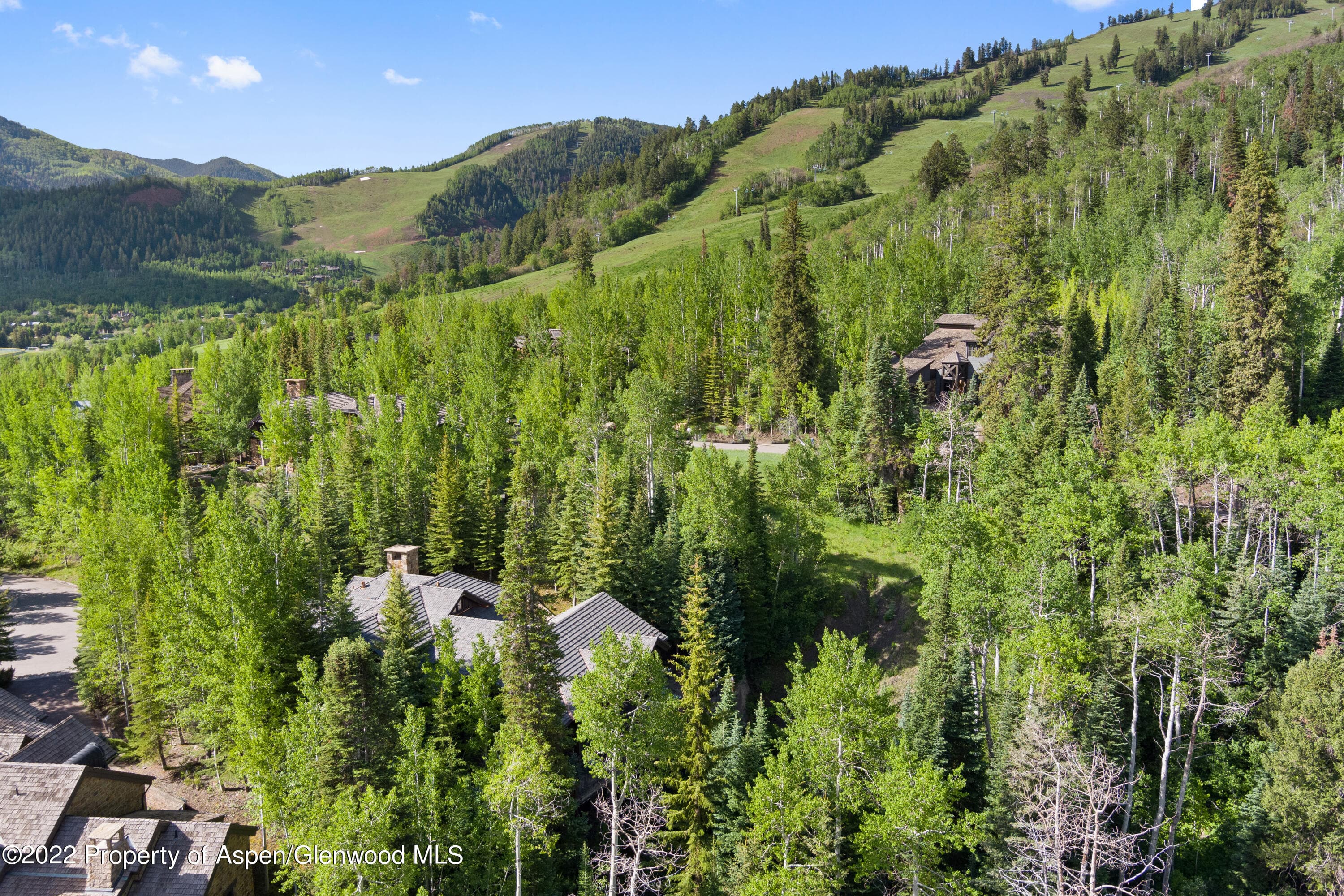 TBD Pfister Drive, Aspen, CO 81611 - Photo 2