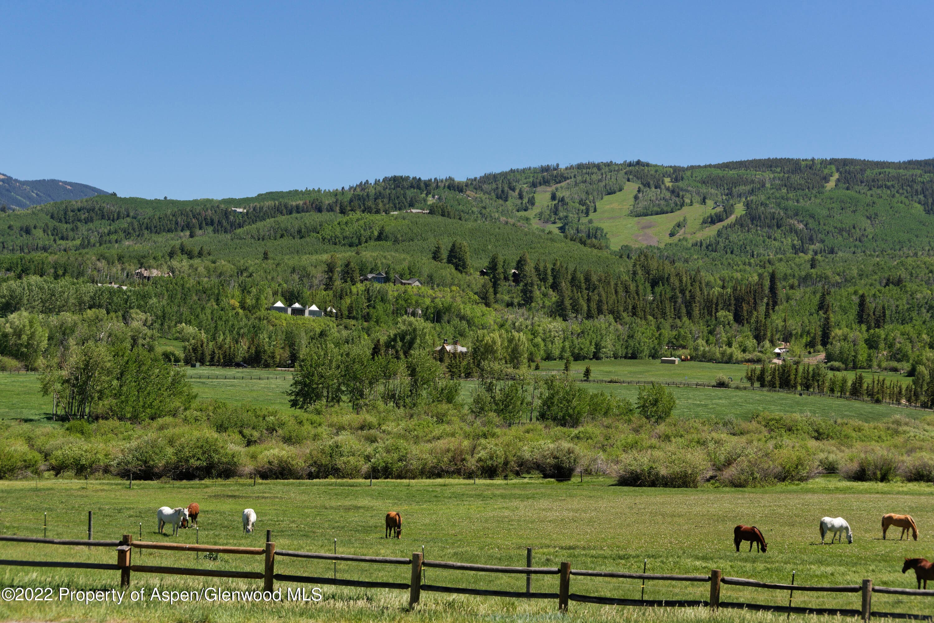 TBD Owl Creek Ranch Road, Aspen, CO 81611 - Photo 2